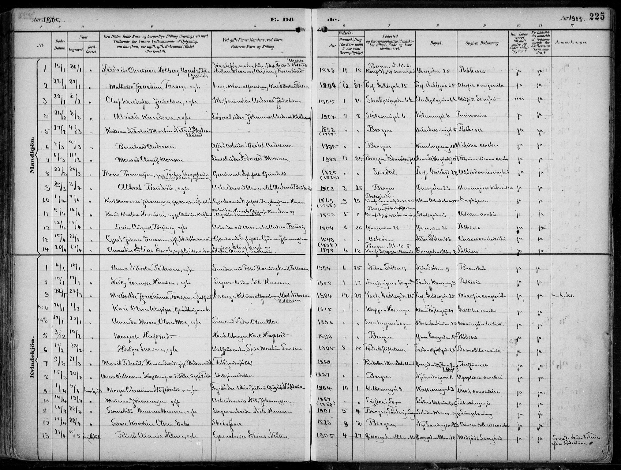Mariakirken Sokneprestembete, SAB/A-76901/H/Hab/L0005: Parish register (copy) no. A 5, 1893-1913, p. 225