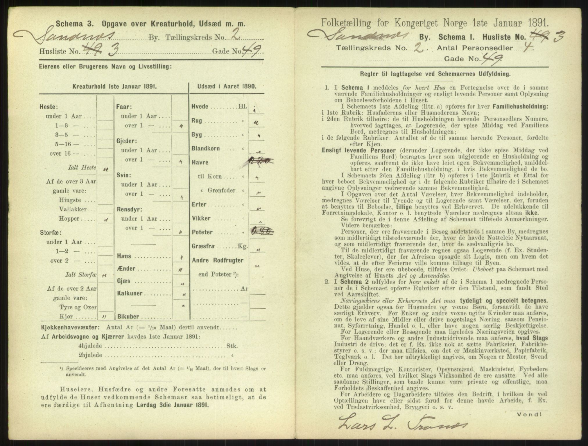 RA, 1891 census for 1102 Sandnes, 1891, p. 145