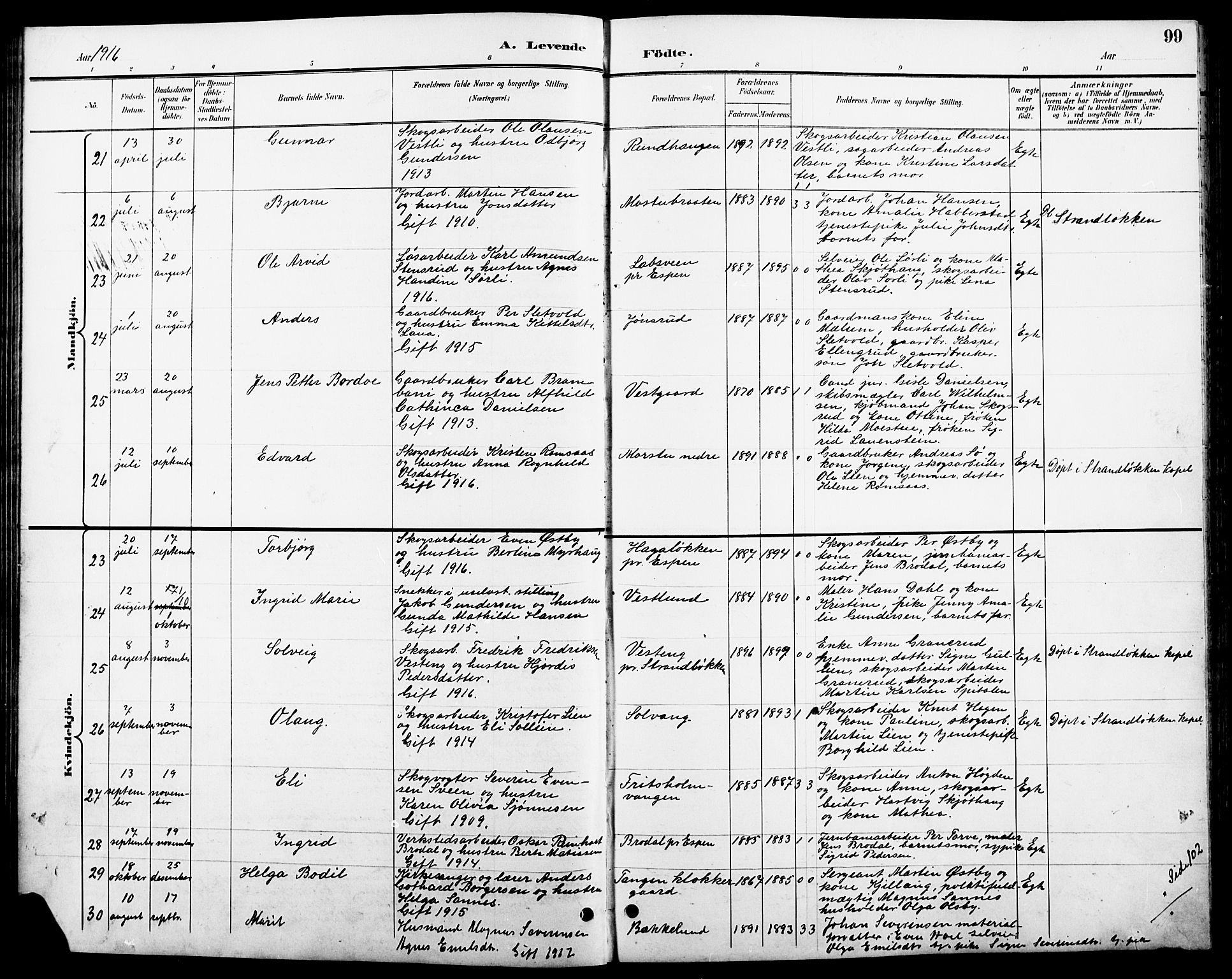 Stange prestekontor, AV/SAH-PREST-002/L/L0011: Parish register (copy) no. 11, 1895-1917, p. 99