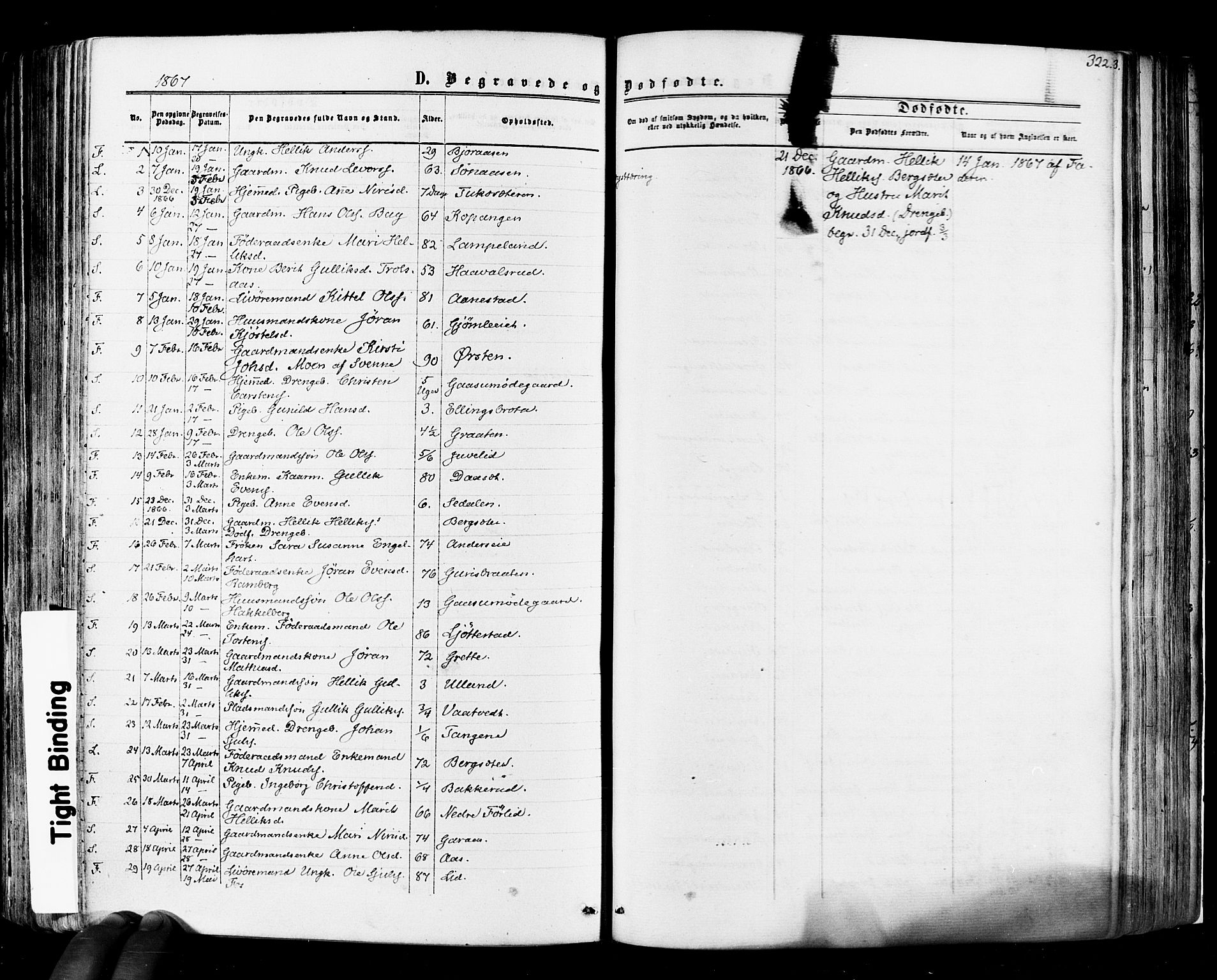 Flesberg kirkebøker, SAKO/A-18/F/Fa/L0007: Parish register (official) no. I 7, 1861-1878, p. 322