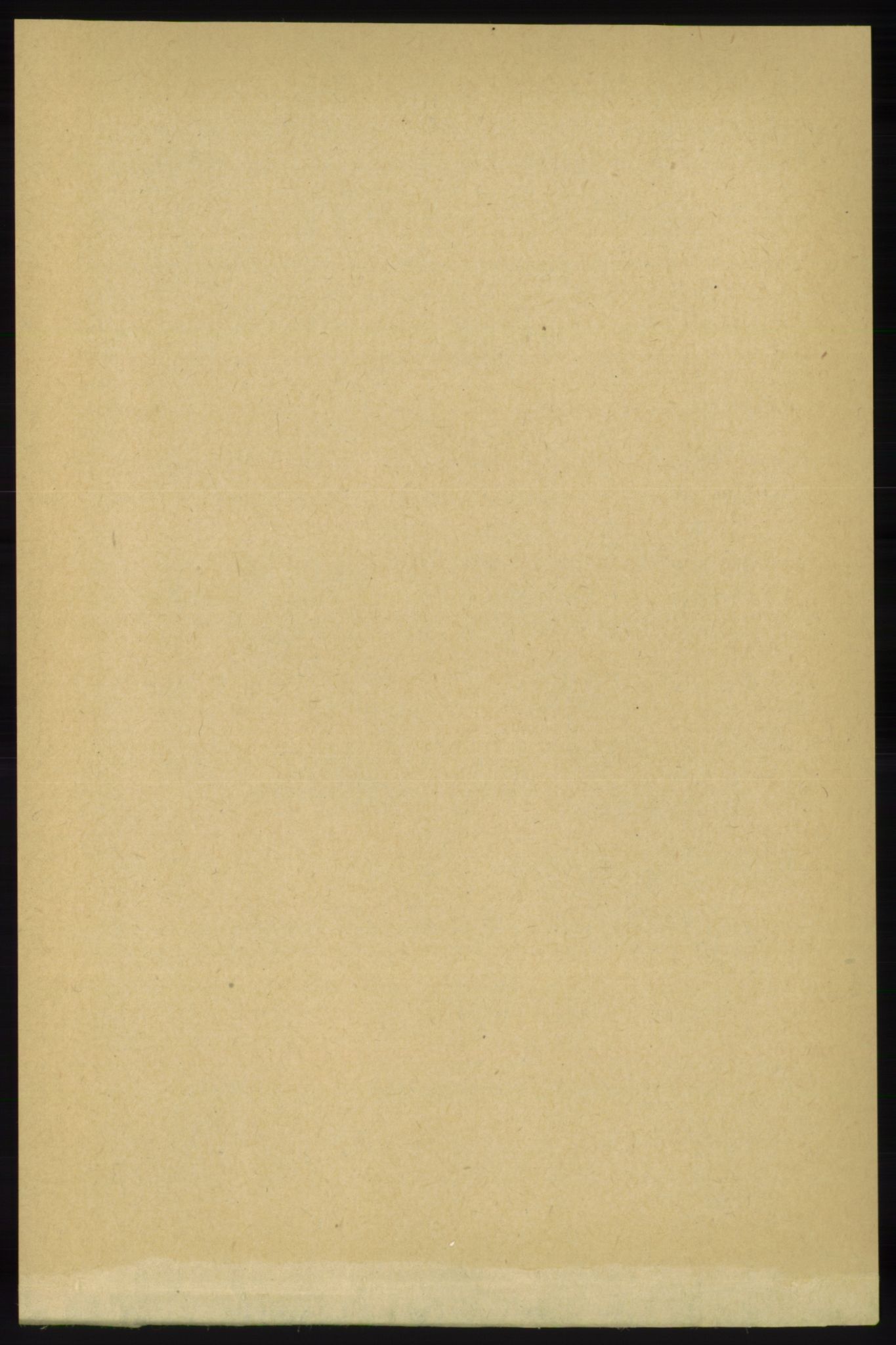 RA, 1891 census for 1138 Jelsa, 1891, p. 705