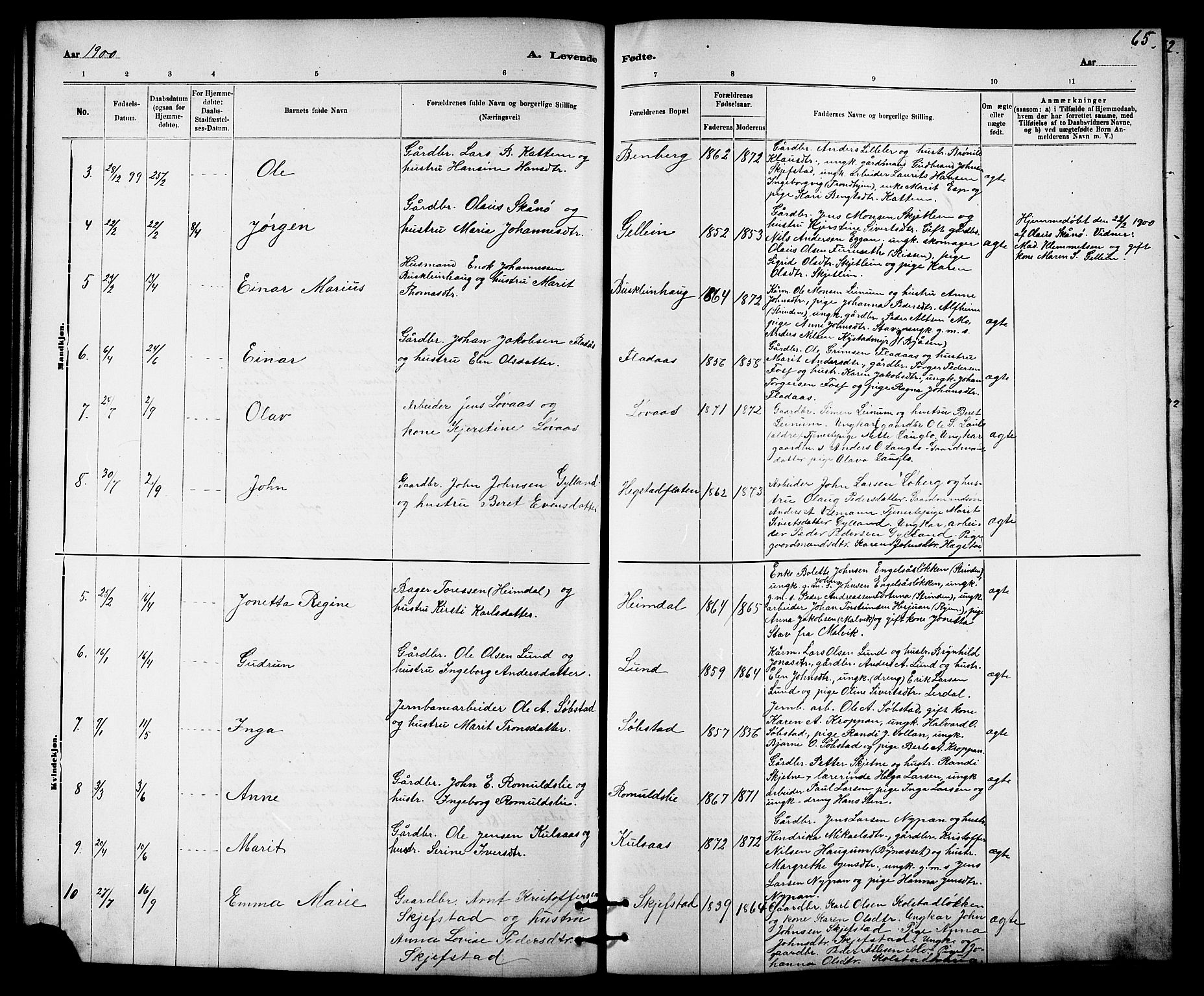 Ministerialprotokoller, klokkerbøker og fødselsregistre - Sør-Trøndelag, SAT/A-1456/613/L0395: Parish register (copy) no. 613C03, 1887-1909, p. 65
