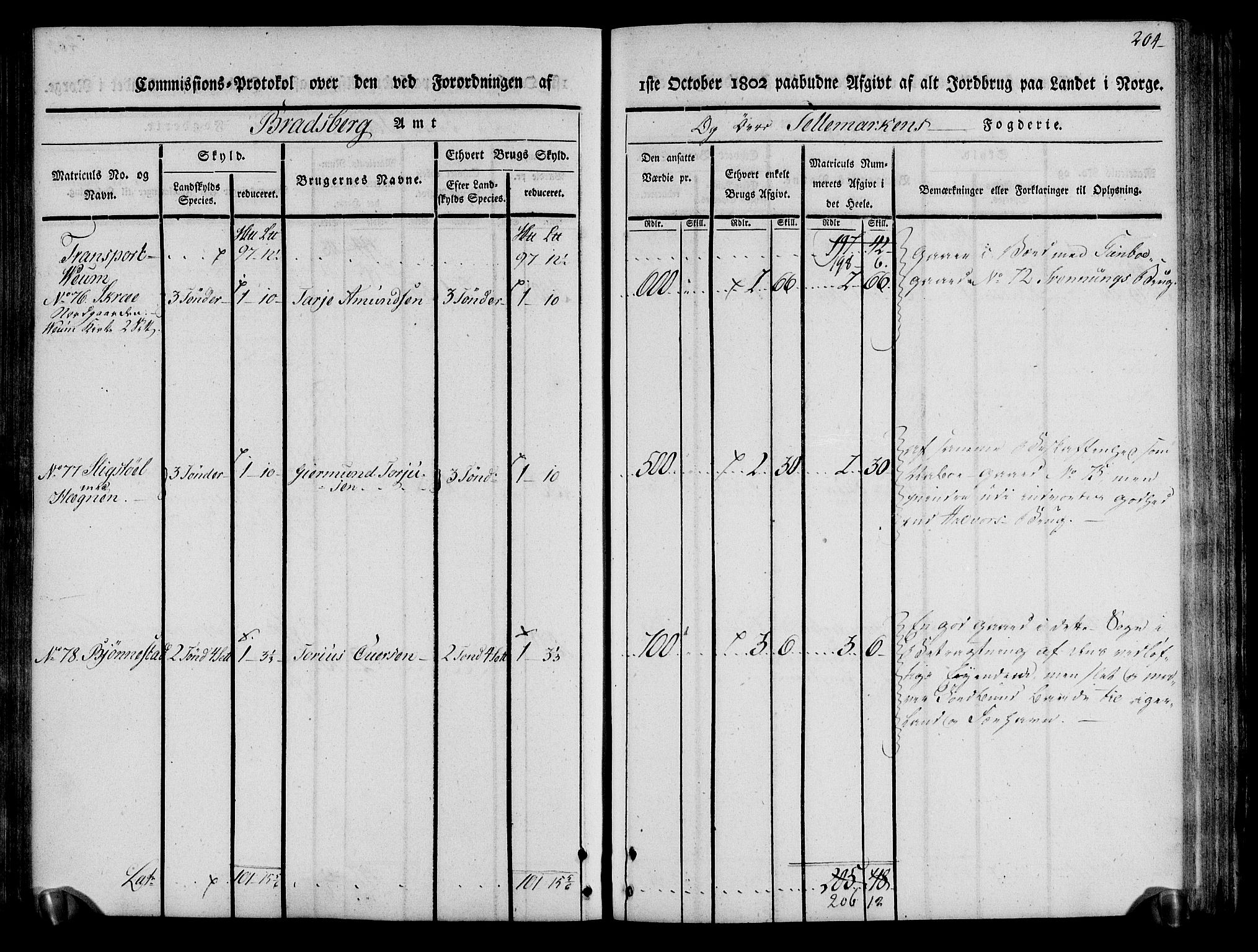 Rentekammeret inntil 1814, Realistisk ordnet avdeling, AV/RA-EA-4070/N/Ne/Nea/L0075: Øvre Telemarken fogderi. Kommisjonsprotokoll for fogderiets vestre del - Kviteseid, Vinje, Moland [):Fyresdal] og Lårdal prestegjeld., 1803, p. 206