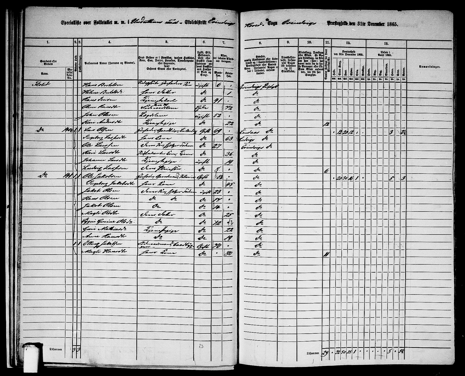 RA, 1865 census for Eivindvik, 1865, p. 24