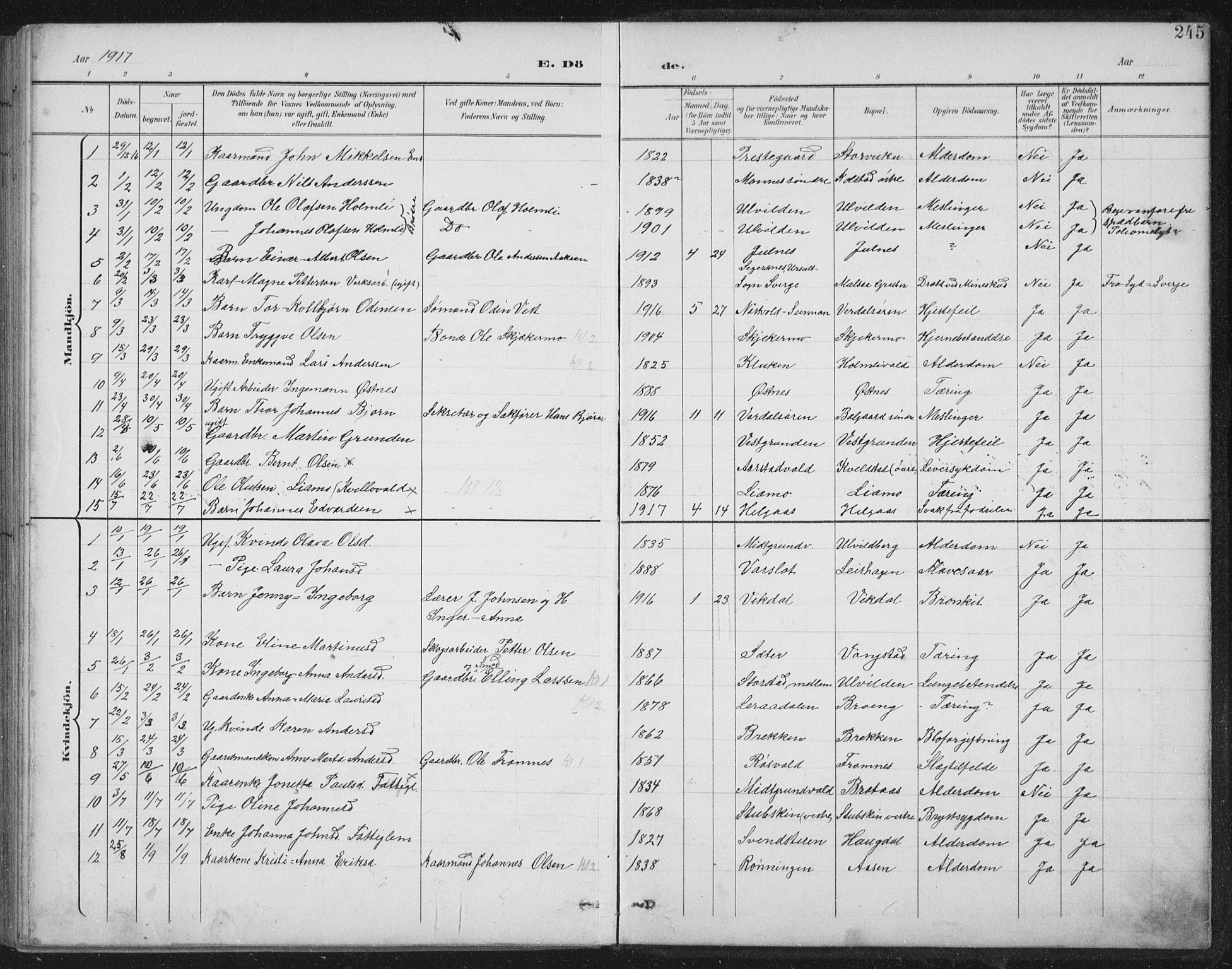 Ministerialprotokoller, klokkerbøker og fødselsregistre - Nord-Trøndelag, SAT/A-1458/724/L0269: Parish register (copy) no. 724C05, 1899-1920, p. 245