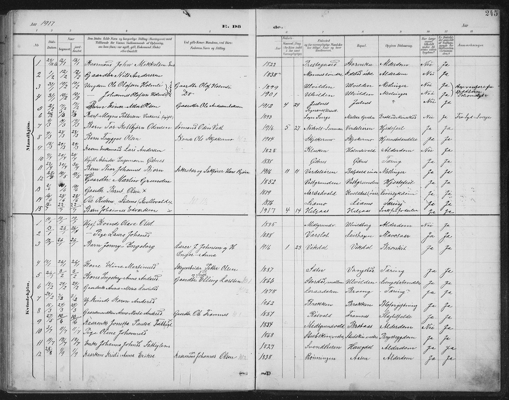 Ministerialprotokoller, klokkerbøker og fødselsregistre - Nord-Trøndelag, AV/SAT-A-1458/724/L0269: Parish register (copy) no. 724C05, 1899-1920, p. 245