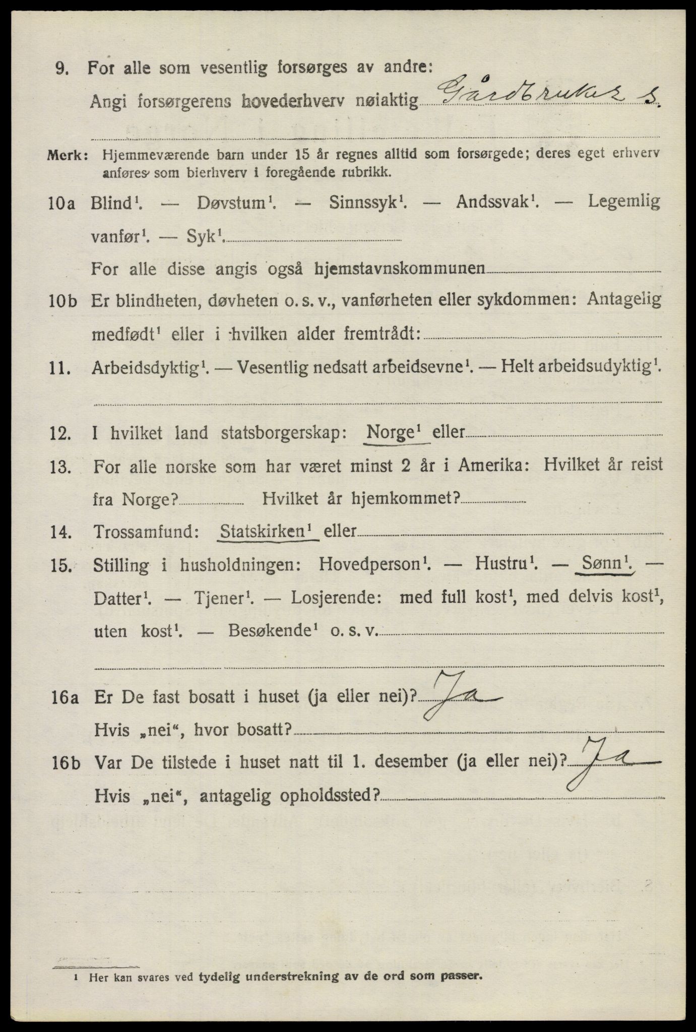SAO, 1920 census for Nes, 1920, p. 6627