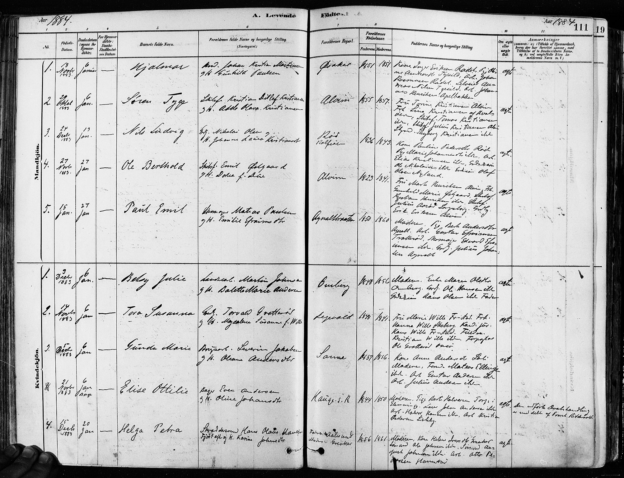 Tune prestekontor Kirkebøker, SAO/A-2007/F/Fa/L0017: Parish register (official) no. 17, 1878-1887, p. 111