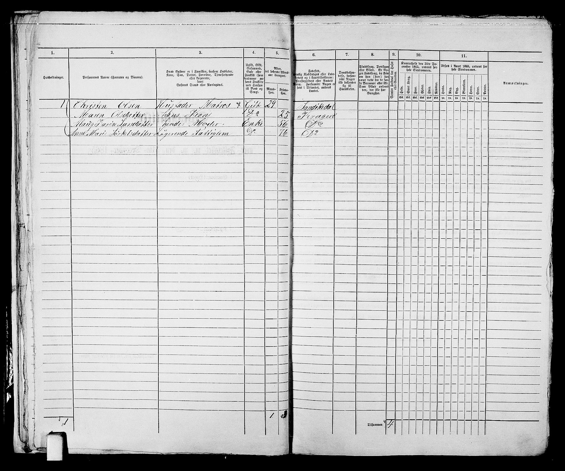 RA, 1865 census for Kragerø/Kragerø, 1865, p. 16