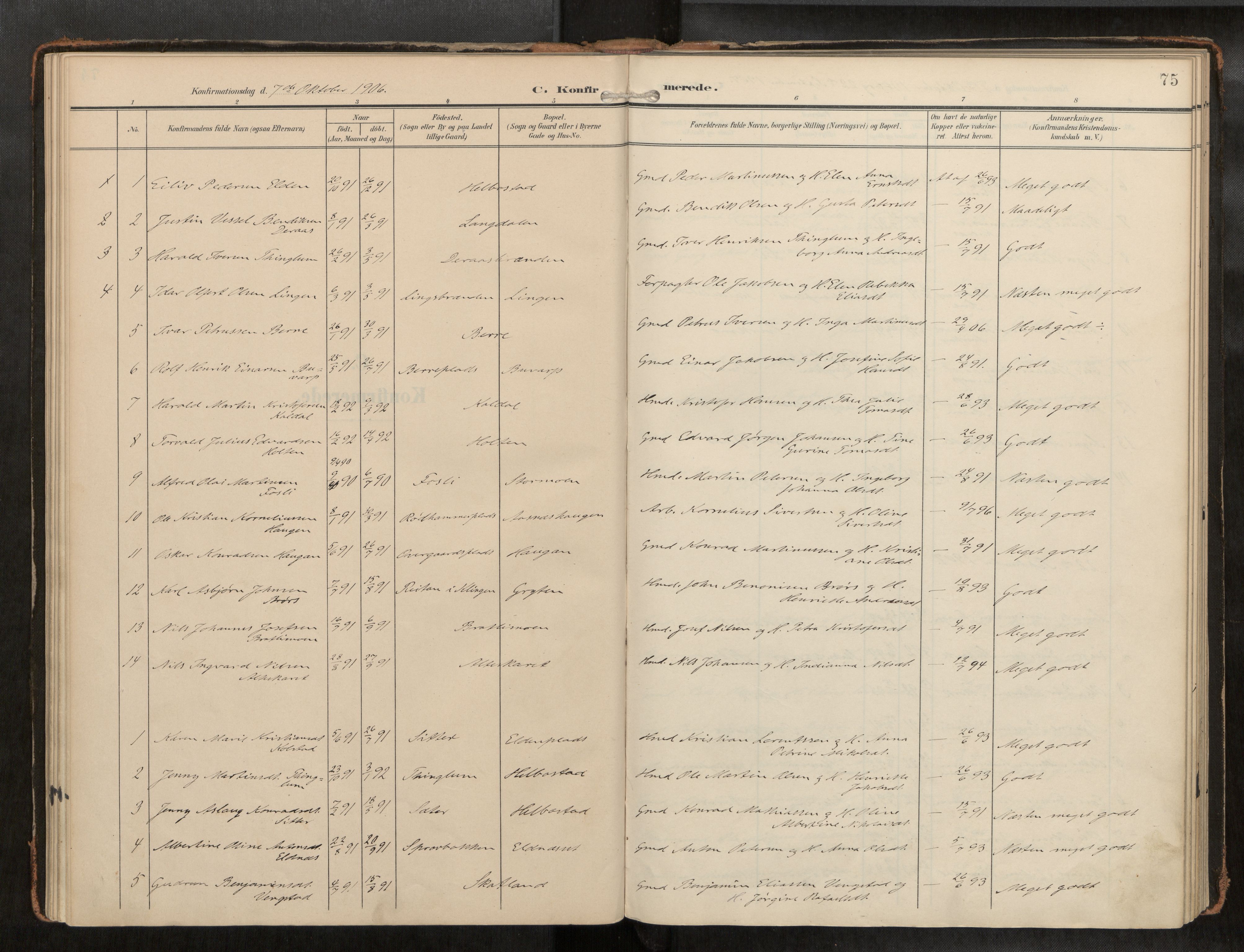 Ministerialprotokoller, klokkerbøker og fødselsregistre - Nord-Trøndelag, SAT/A-1458/742/L0409a: Parish register (official) no. 742A03, 1906-1924, p. 75