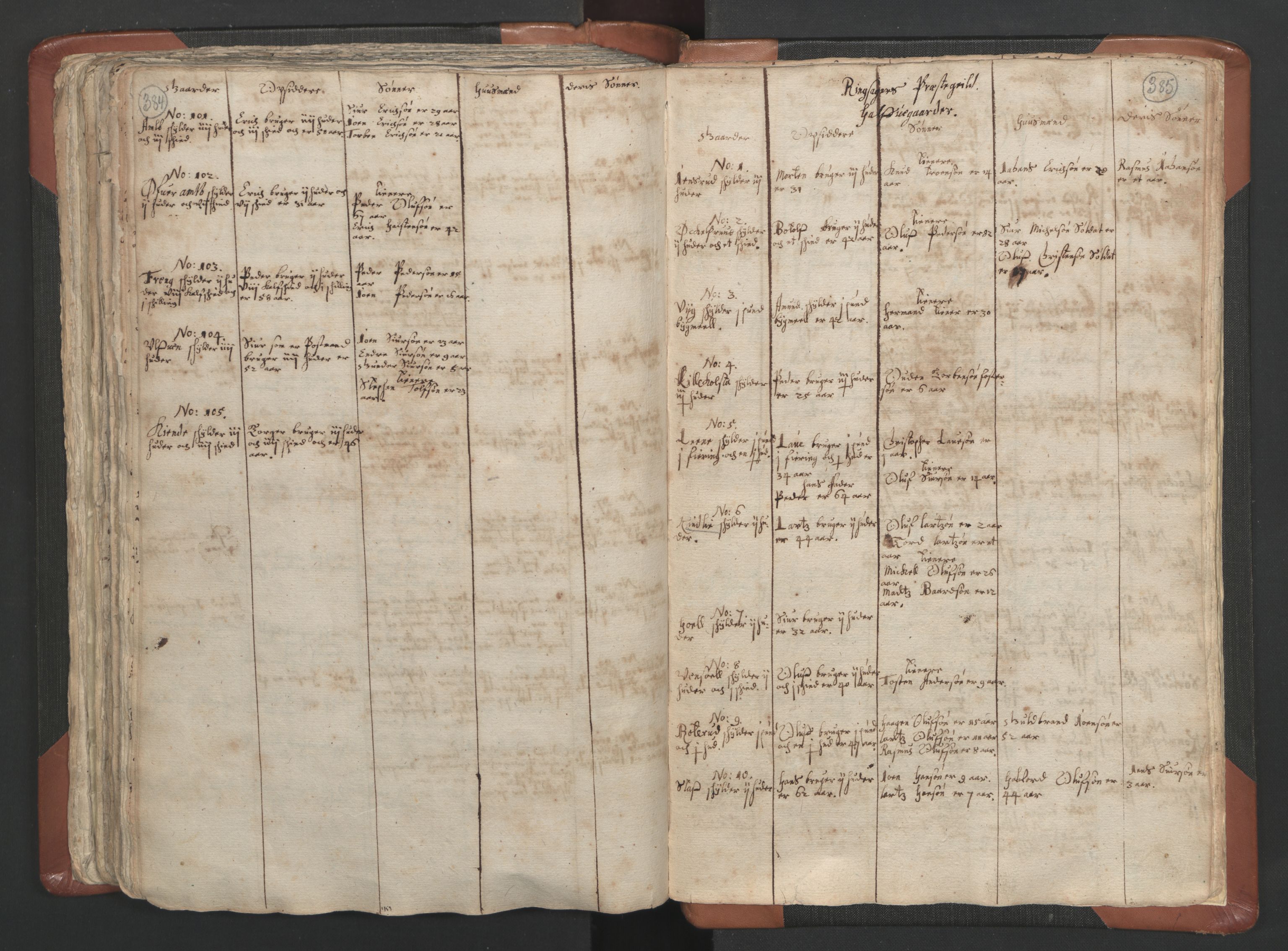 RA, Vicar's Census 1664-1666, no. 5: Hedmark deanery, 1664-1666, p. 384-385