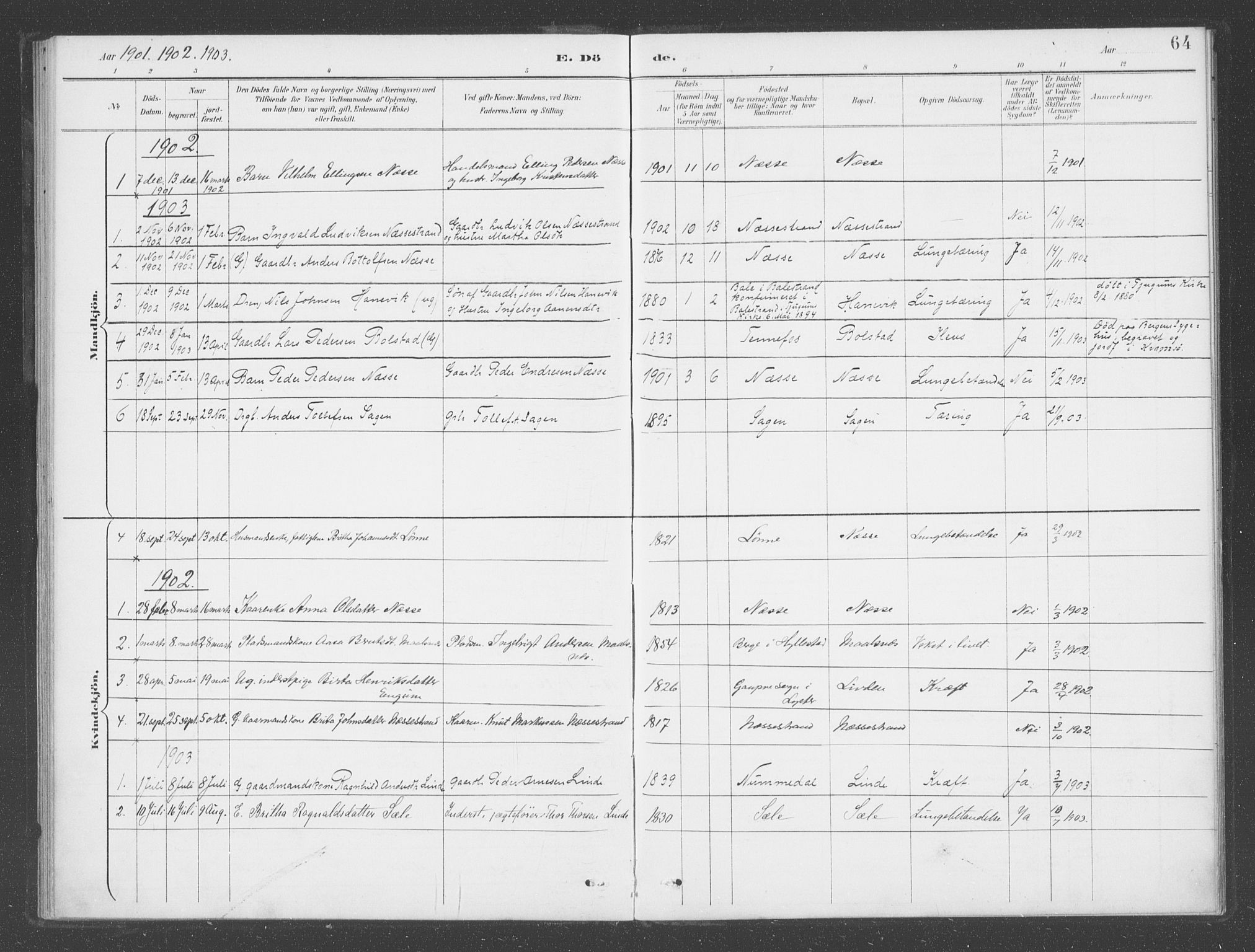 Vik sokneprestembete, AV/SAB-A-81501/H/Haa/Haad/L0002: Parish register (official) no. D  2, 1891-1907, p. 64