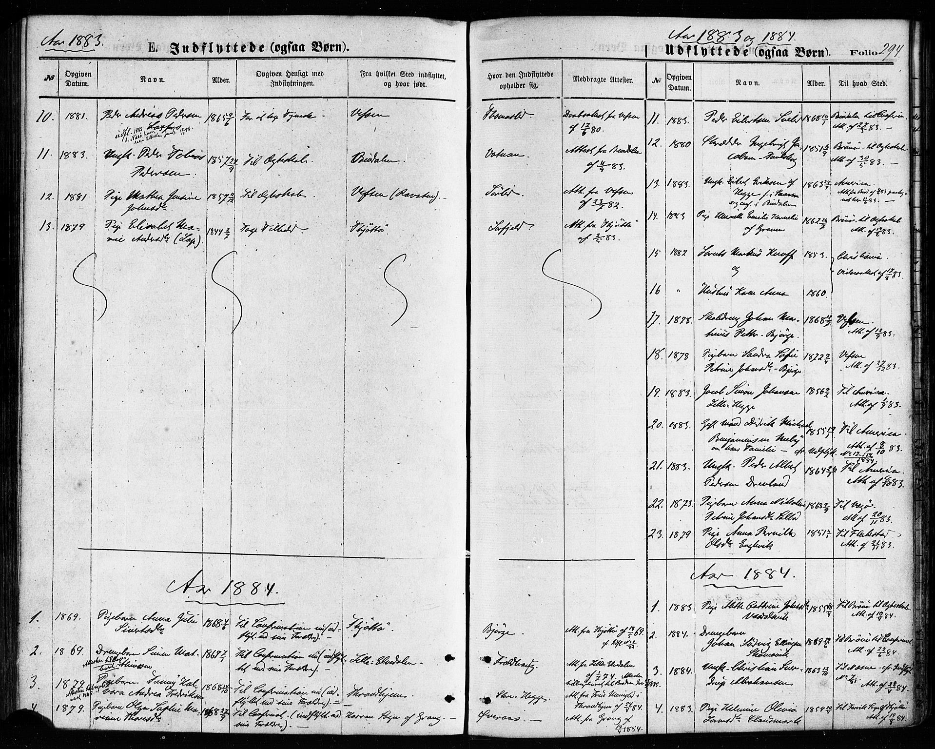 Ministerialprotokoller, klokkerbøker og fødselsregistre - Nordland, SAT/A-1459/814/L0225: Parish register (official) no. 814A06, 1875-1885, p. 294
