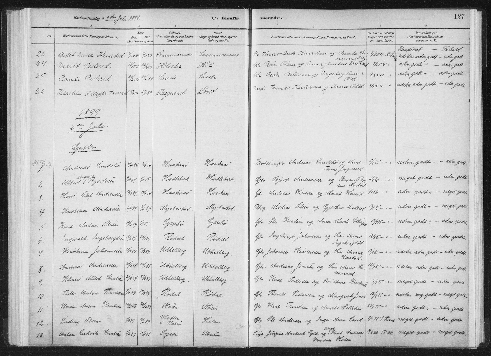 Ministerialprotokoller, klokkerbøker og fødselsregistre - Møre og Romsdal, AV/SAT-A-1454/564/L0740: Parish register (official) no. 564A01, 1880-1899, p. 127