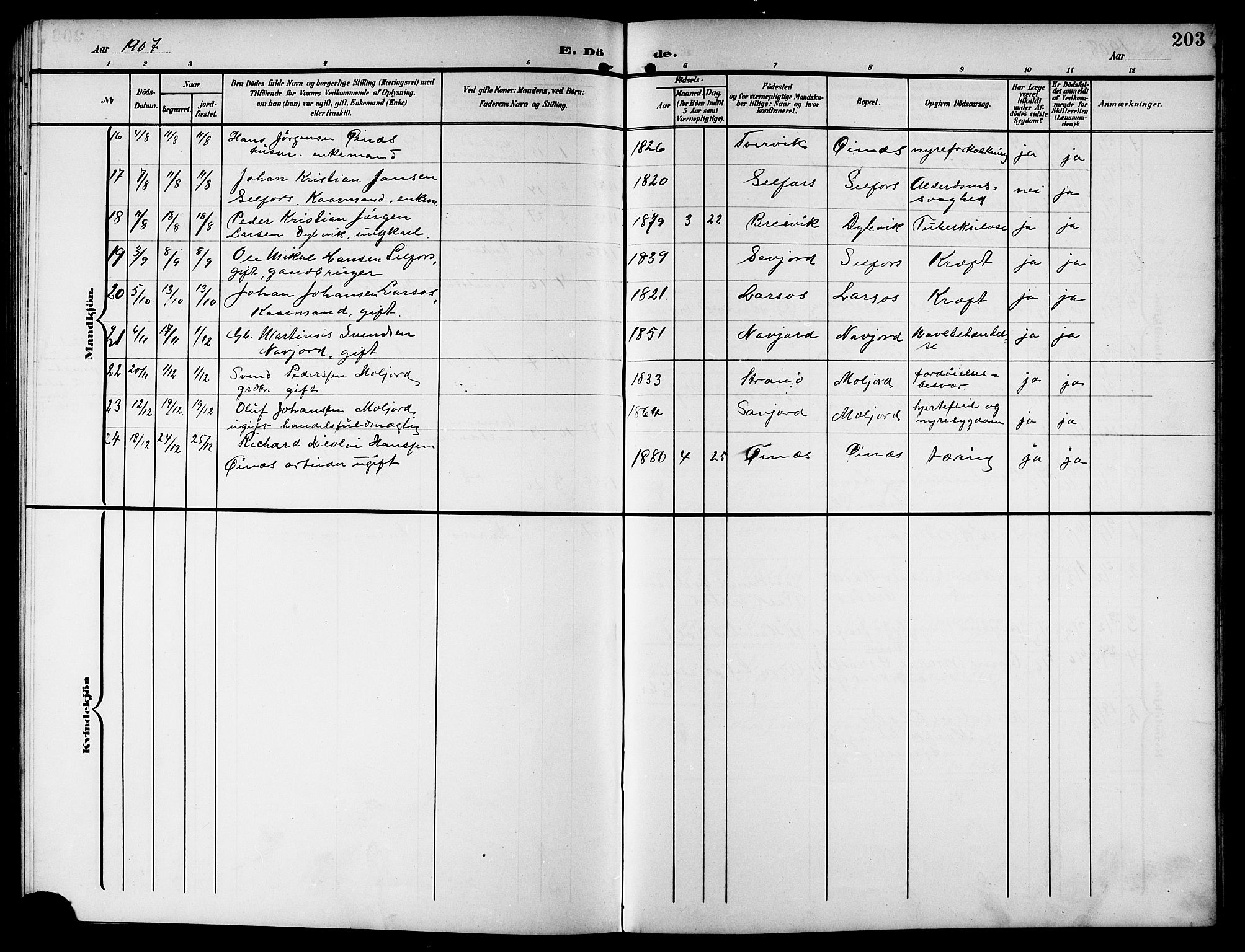 Ministerialprotokoller, klokkerbøker og fødselsregistre - Nordland, AV/SAT-A-1459/846/L0655: Parish register (copy) no. 846C05, 1902-1916, p. 203