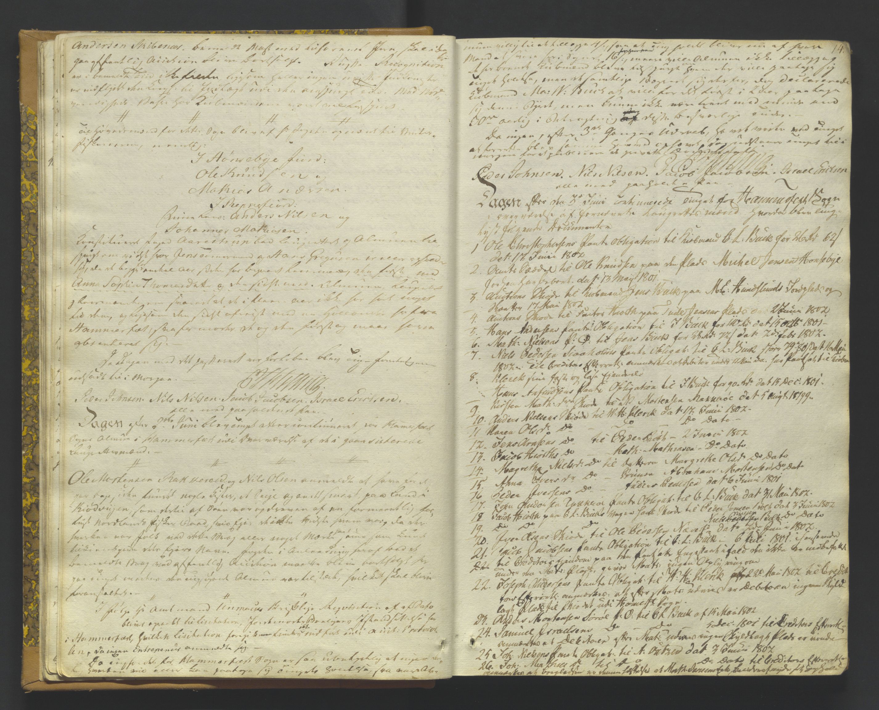 Finnmark sorenskriveri, AV/SATØ-S-0053/F/Fa/L0050: Justisprotokoller, 1802-1810, p. 13b-14a