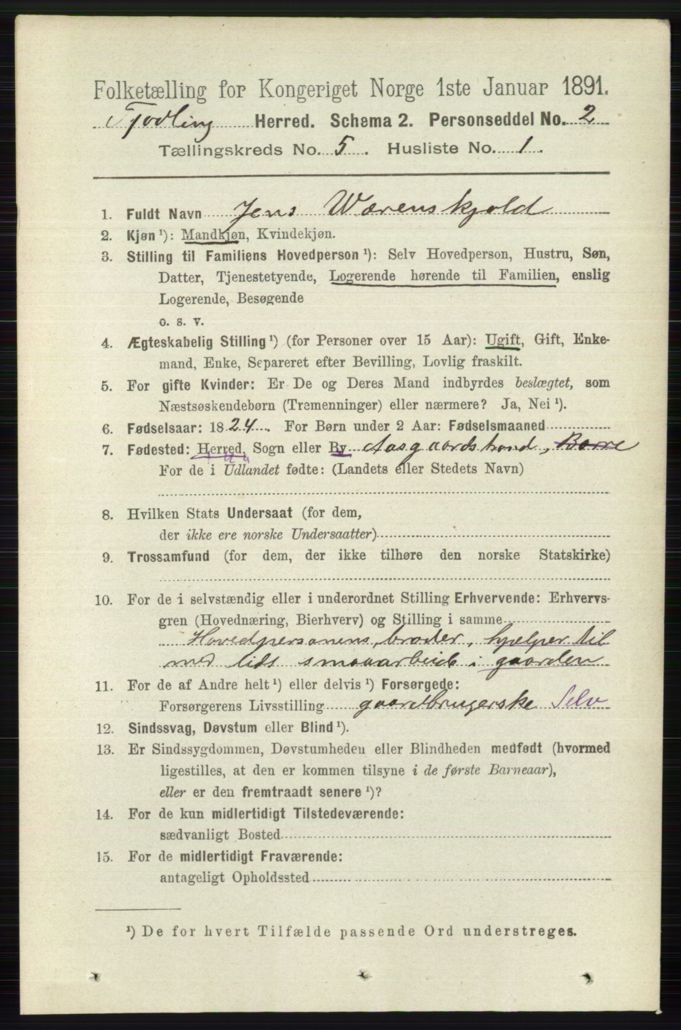 RA, 1891 census for 0725 Tjølling, 1891, p. 1973