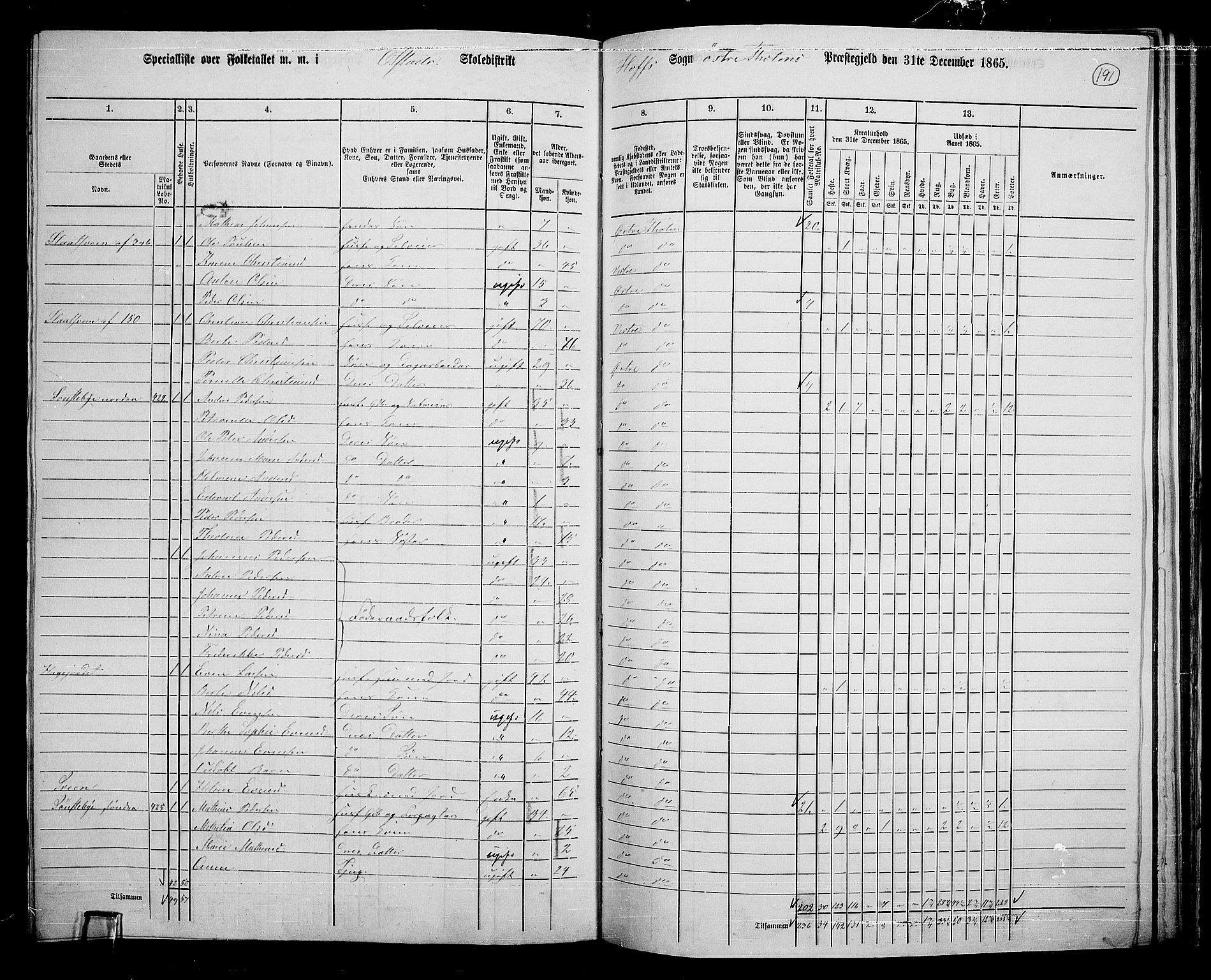 RA, 1865 census for Østre Toten, 1865, p. 303