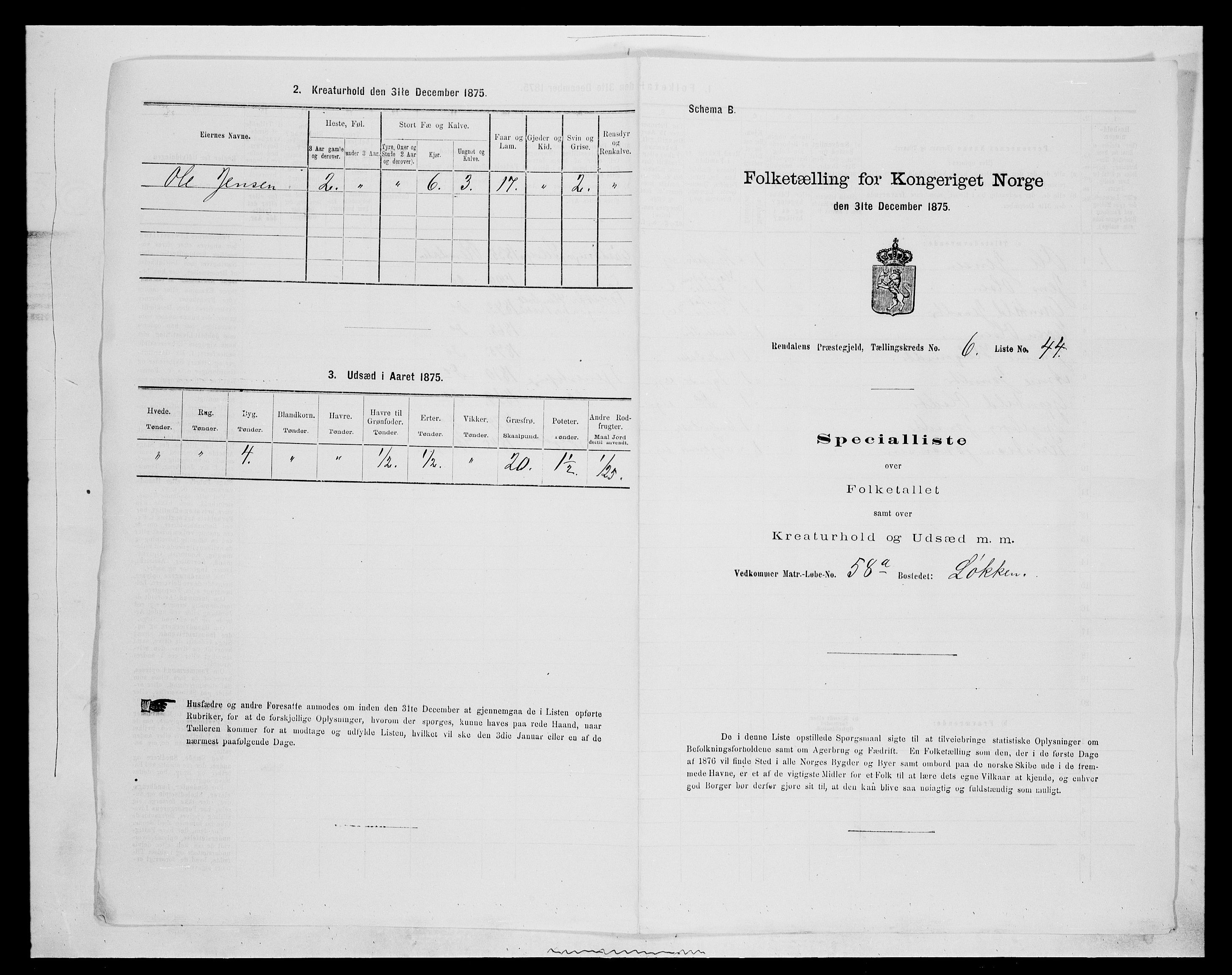 SAH, 1875 census for 0432P Rendalen, 1875, p. 587