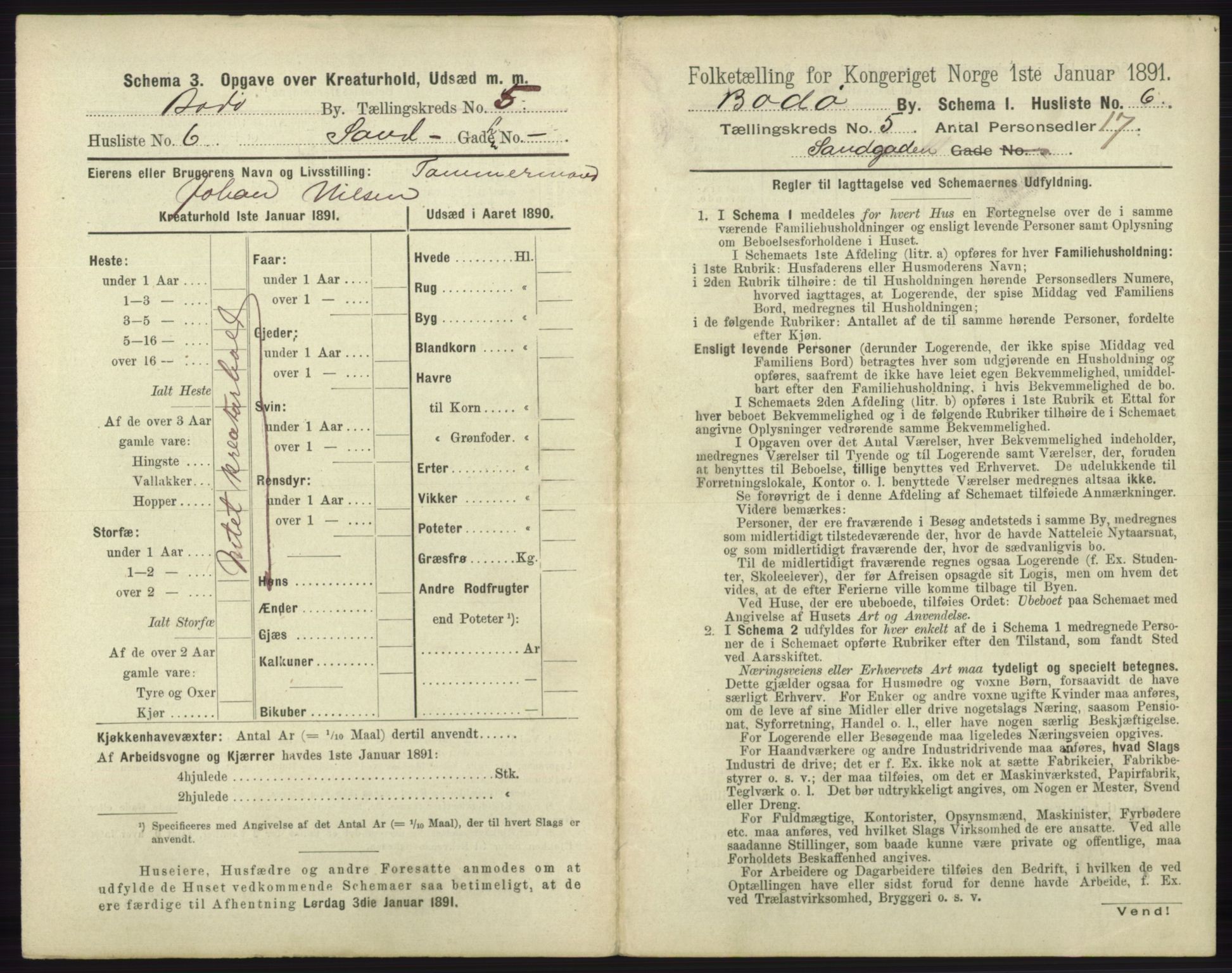 RA, 1891 census for 1804 Bodø, 1891, p. 3813