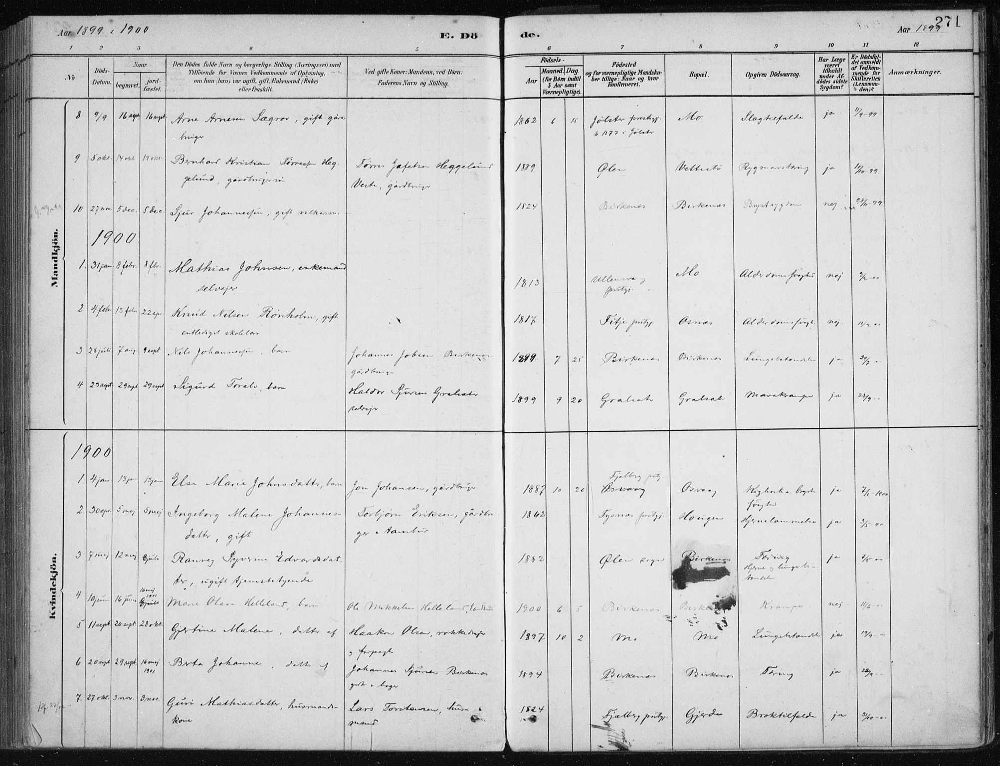 Etne sokneprestembete, AV/SAB-A-75001/H/Haa: Parish register (official) no. C  1, 1879-1919, p. 271