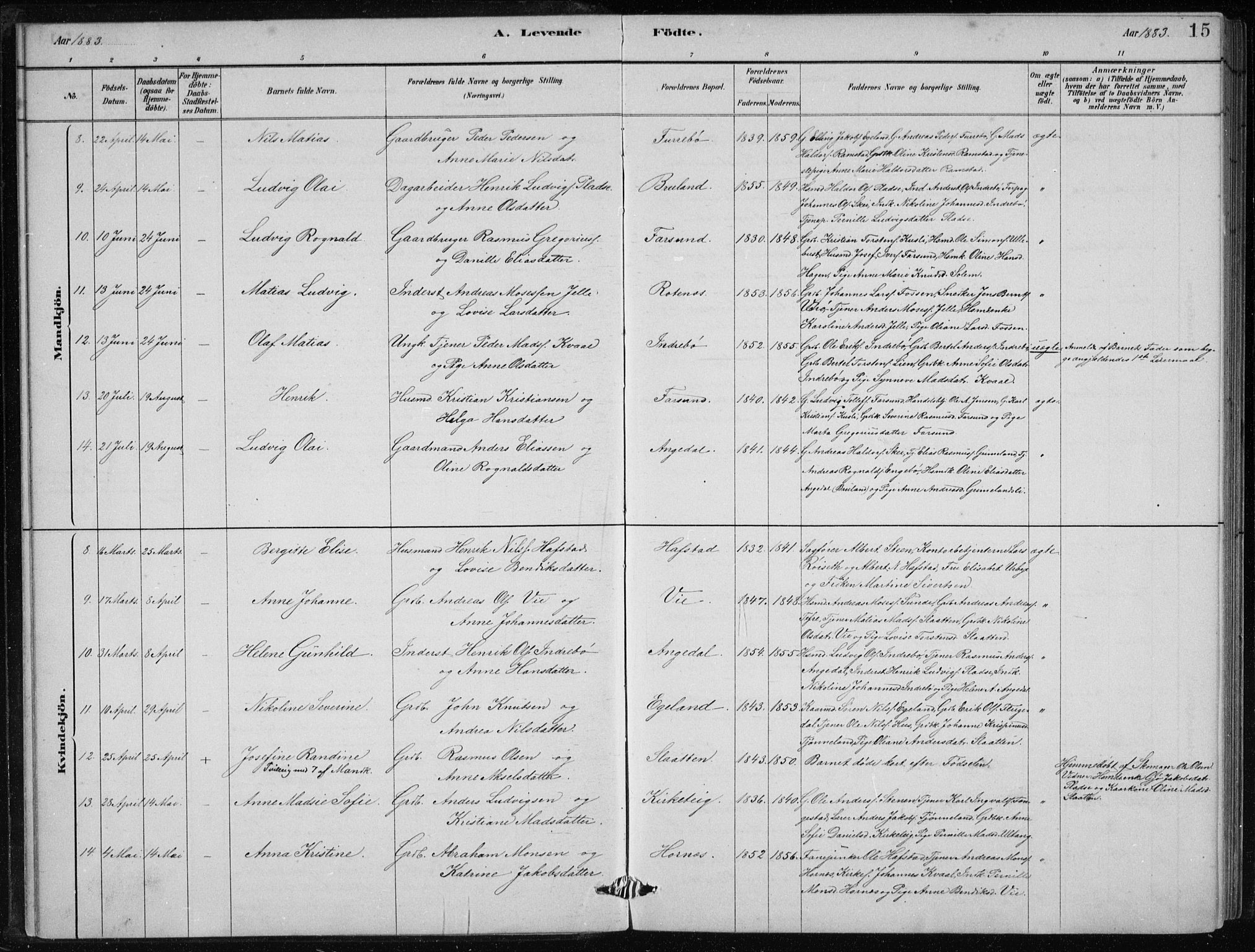 Førde sokneprestembete, AV/SAB-A-79901/H/Hab/Haba/L0002: Parish register (copy) no. A 2, 1881-1898, p. 15