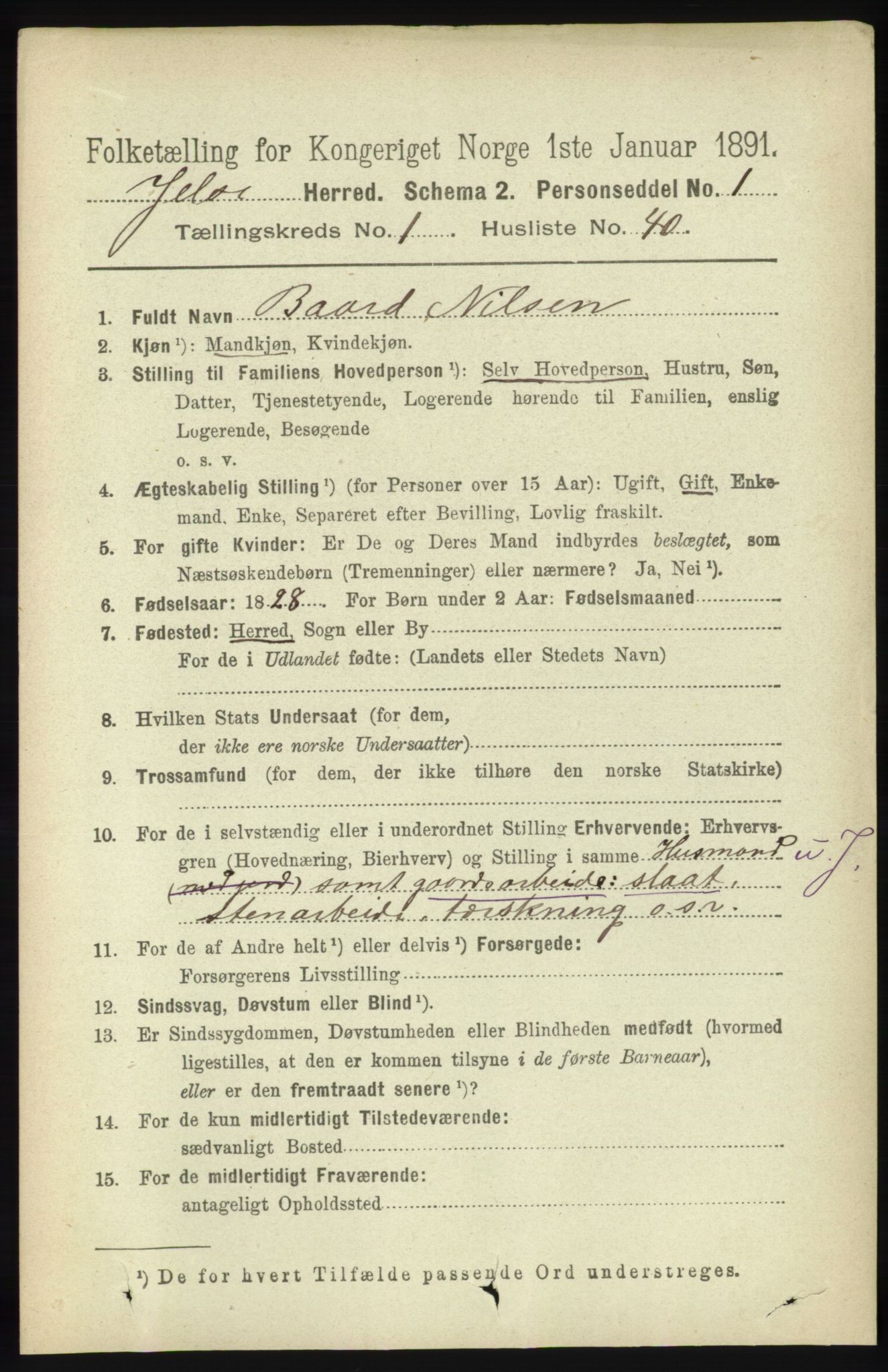 RA, 1891 census for 1138 Jelsa, 1891, p. 223