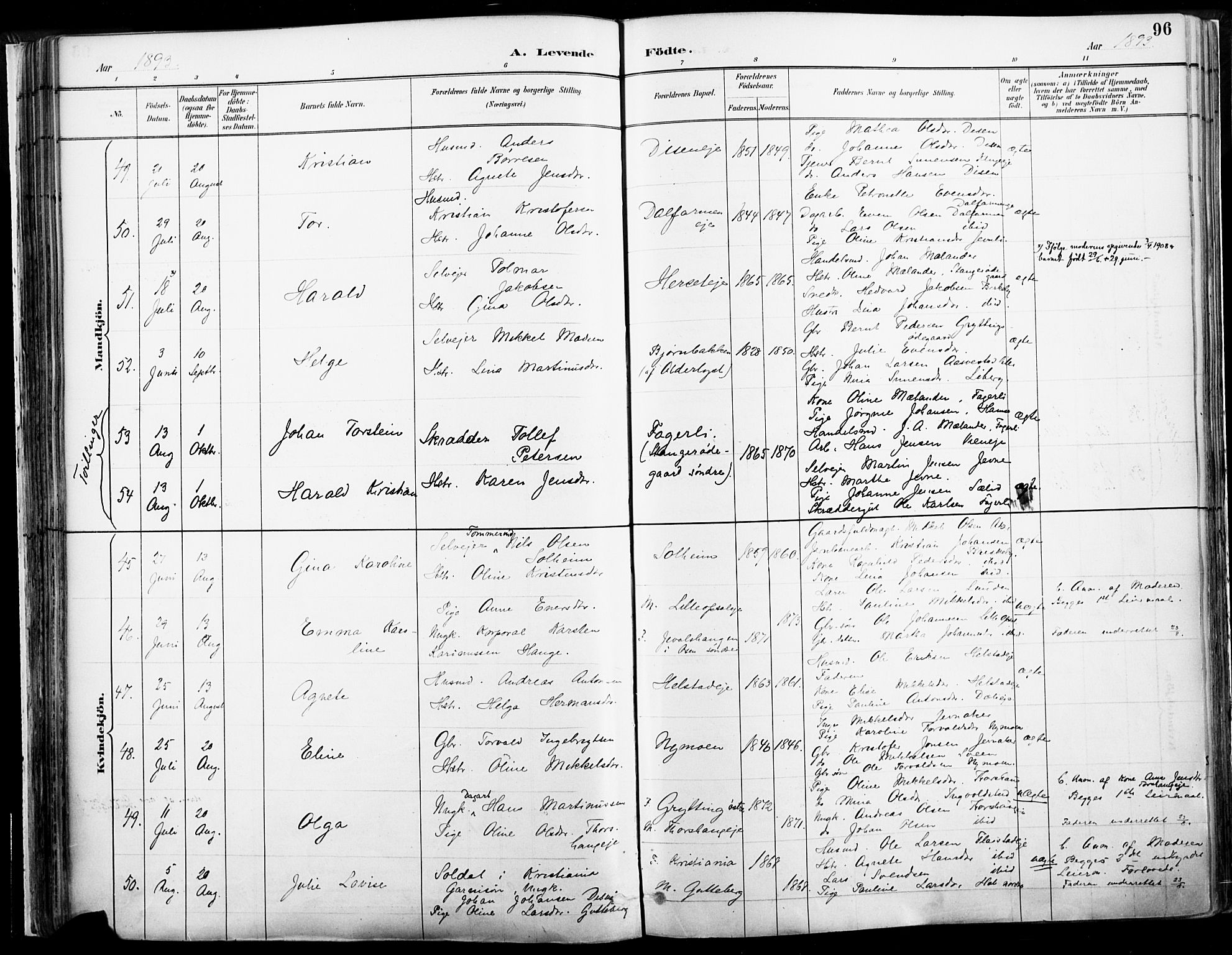 Vang prestekontor, Hedmark, AV/SAH-PREST-008/H/Ha/Haa/L0019A: Parish register (official) no. 19, 1886-1900, p. 96