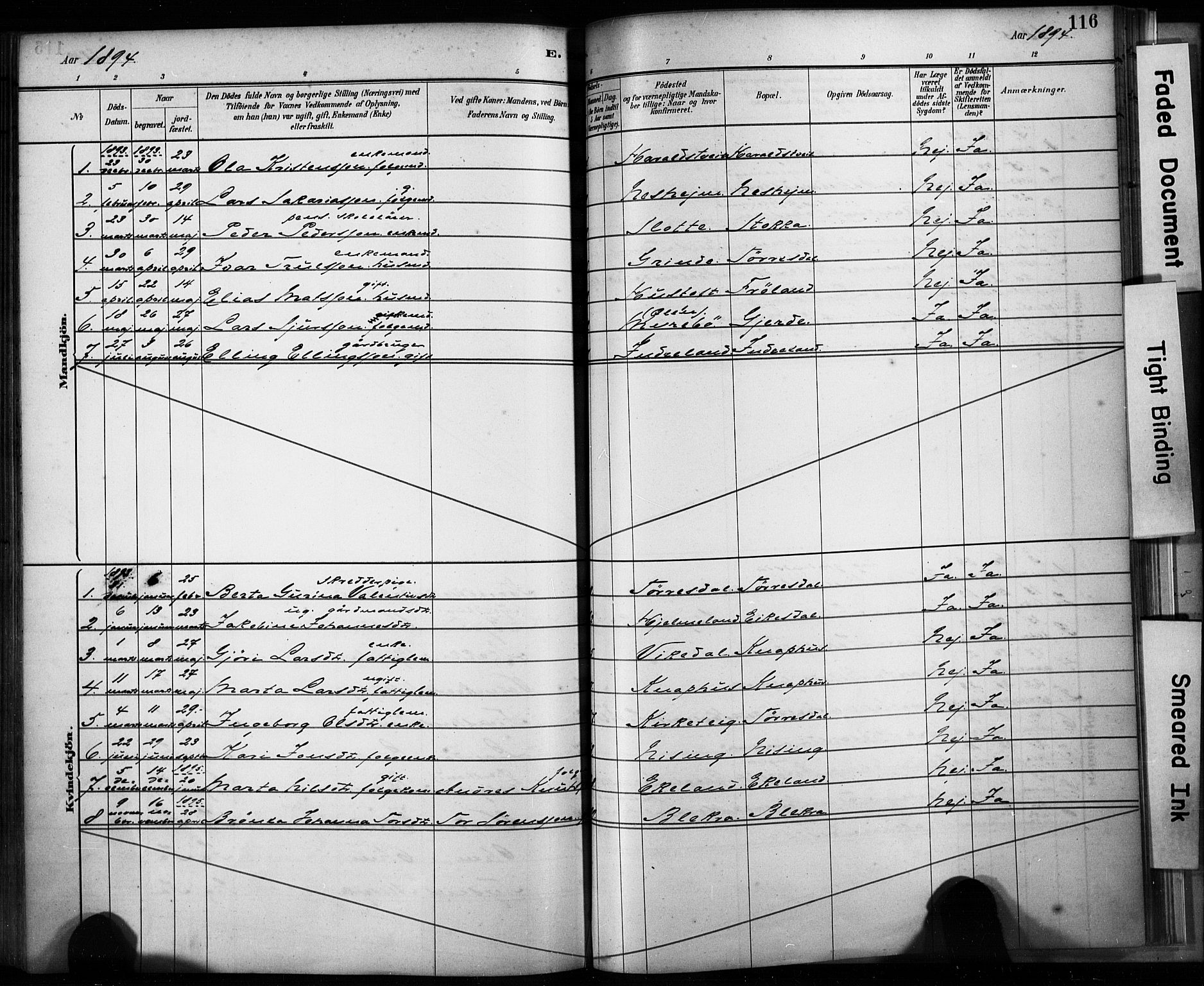 Skjold sokneprestkontor, AV/SAST-A-101847/H/Ha/Haa/L0009: Parish register (official) no. A 9, 1882-1898, p. 116