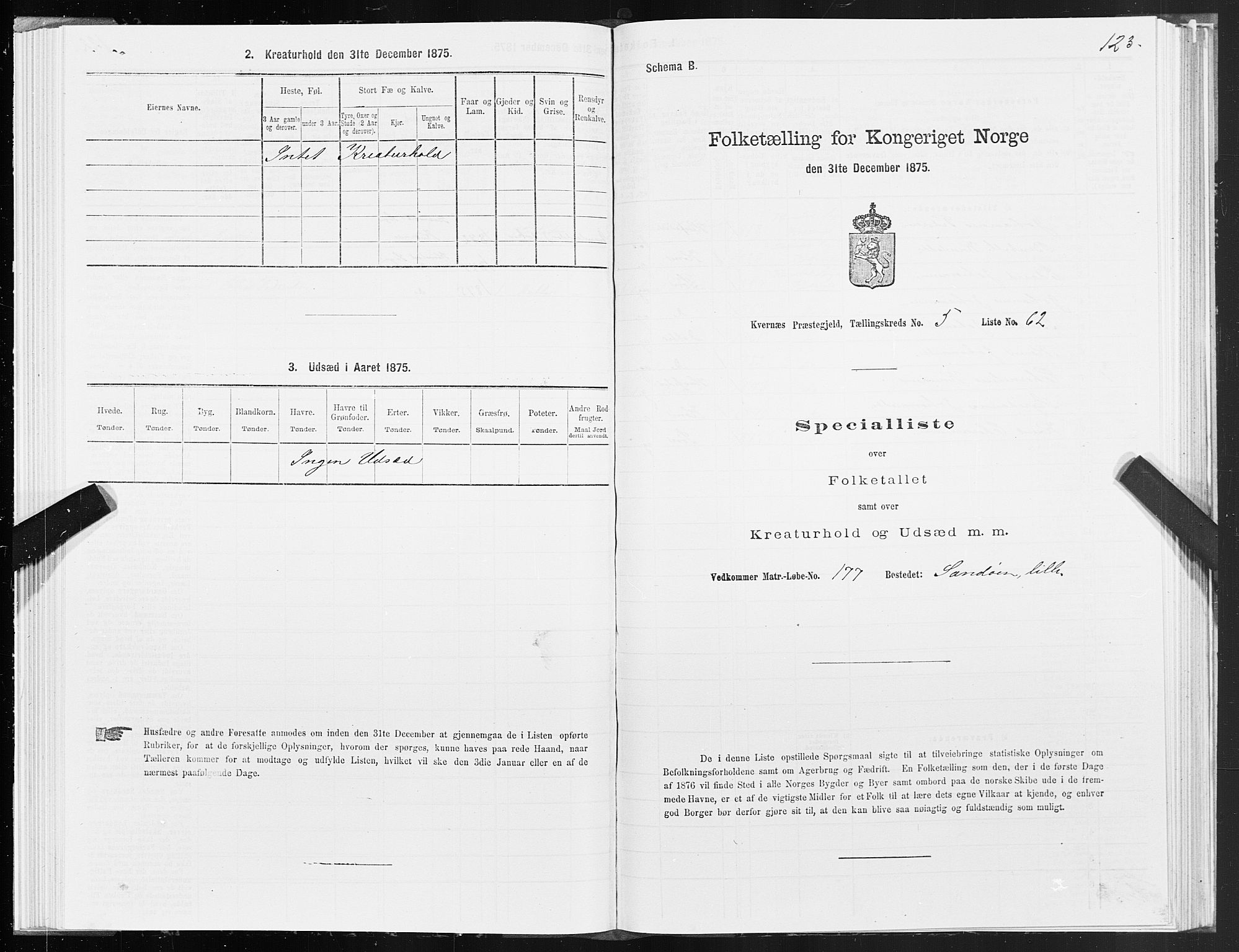 SAT, 1875 census for 1553P Kvernes, 1875, p. 3123