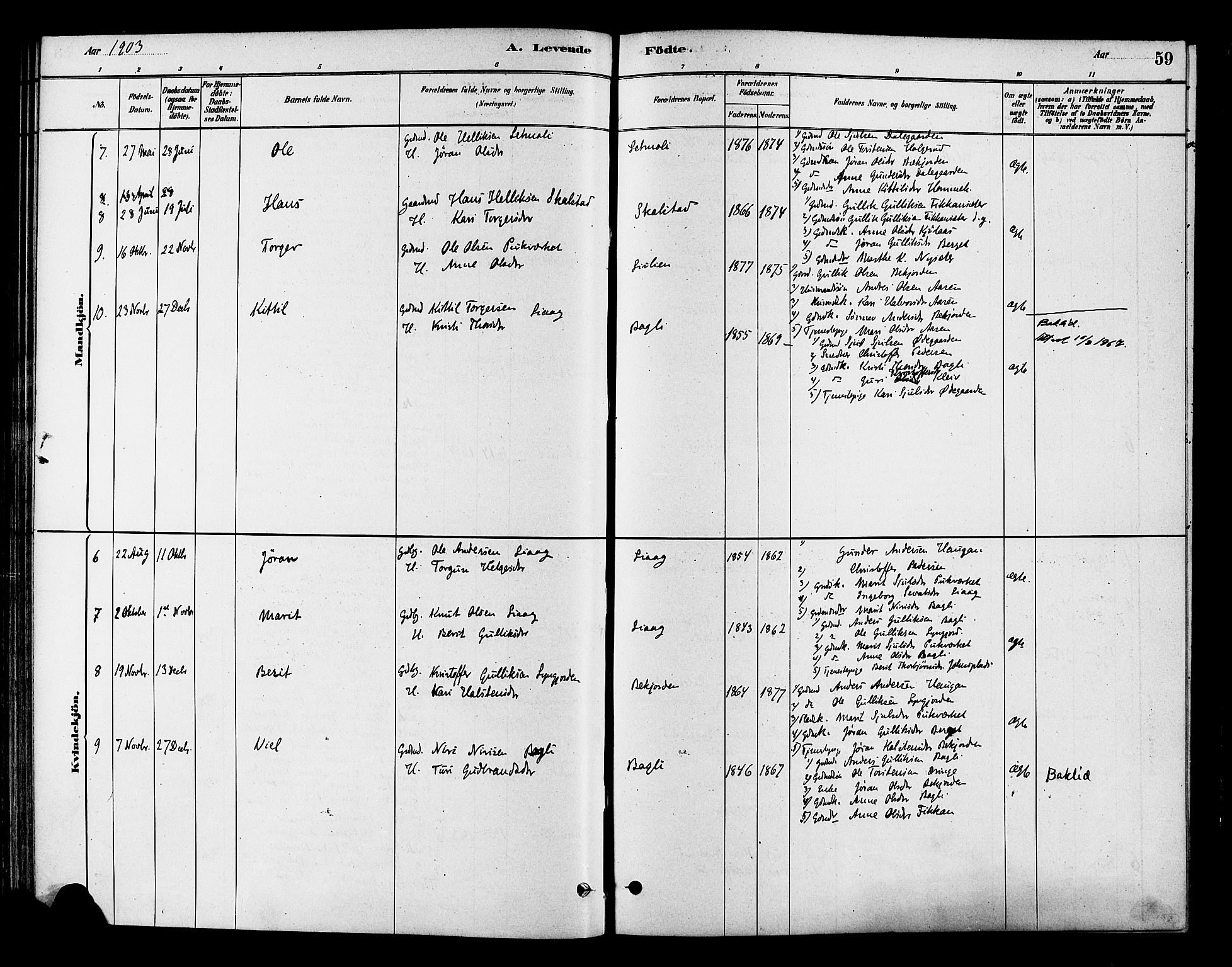 Flesberg kirkebøker, AV/SAKO-A-18/F/Fc/L0001: Parish register (official) no. III 1, 1879-1905, p. 59