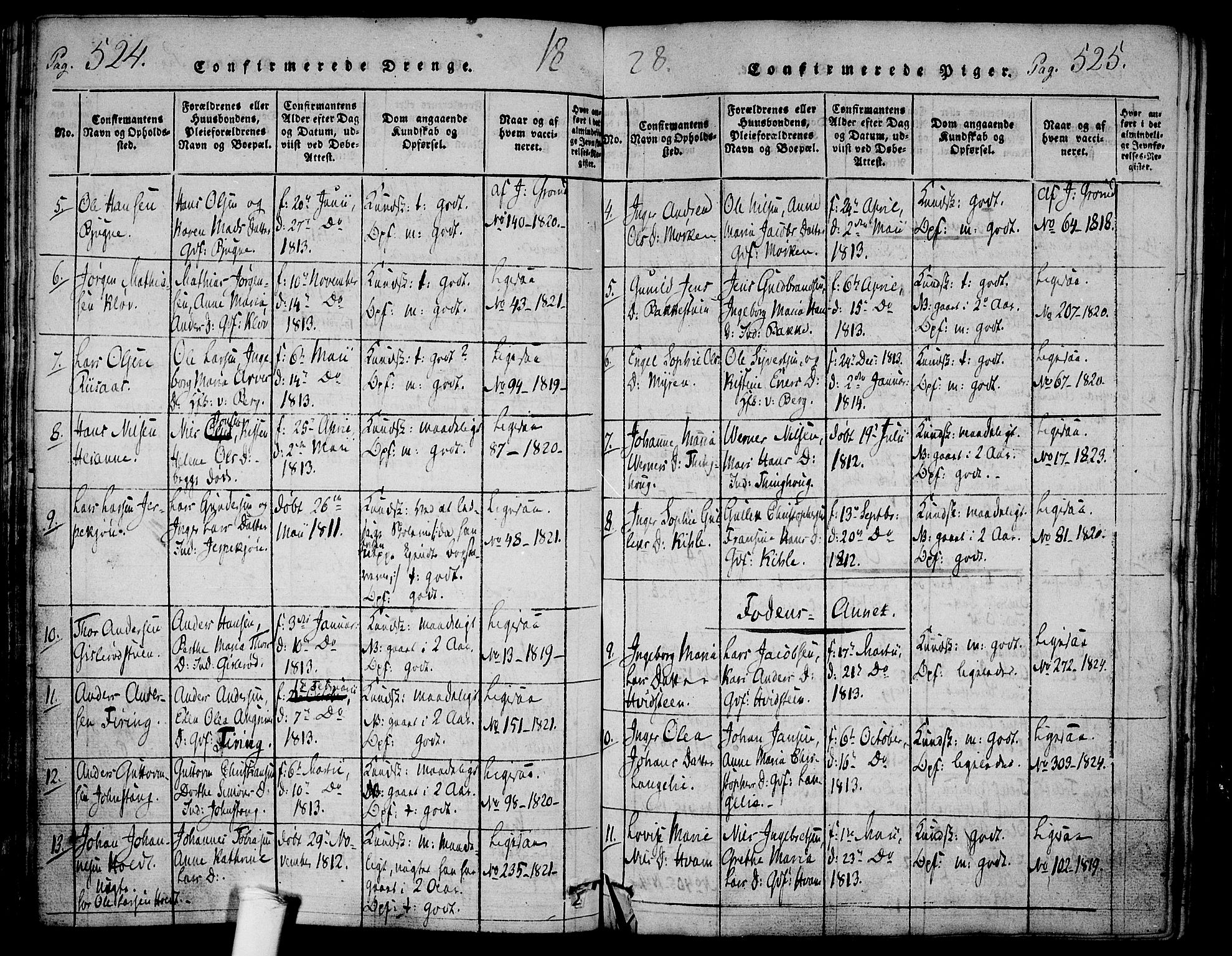 Ramnes kirkebøker, AV/SAKO-A-314/F/Fa/L0004: Parish register (official) no. I 4, 1813-1840, p. 524-525