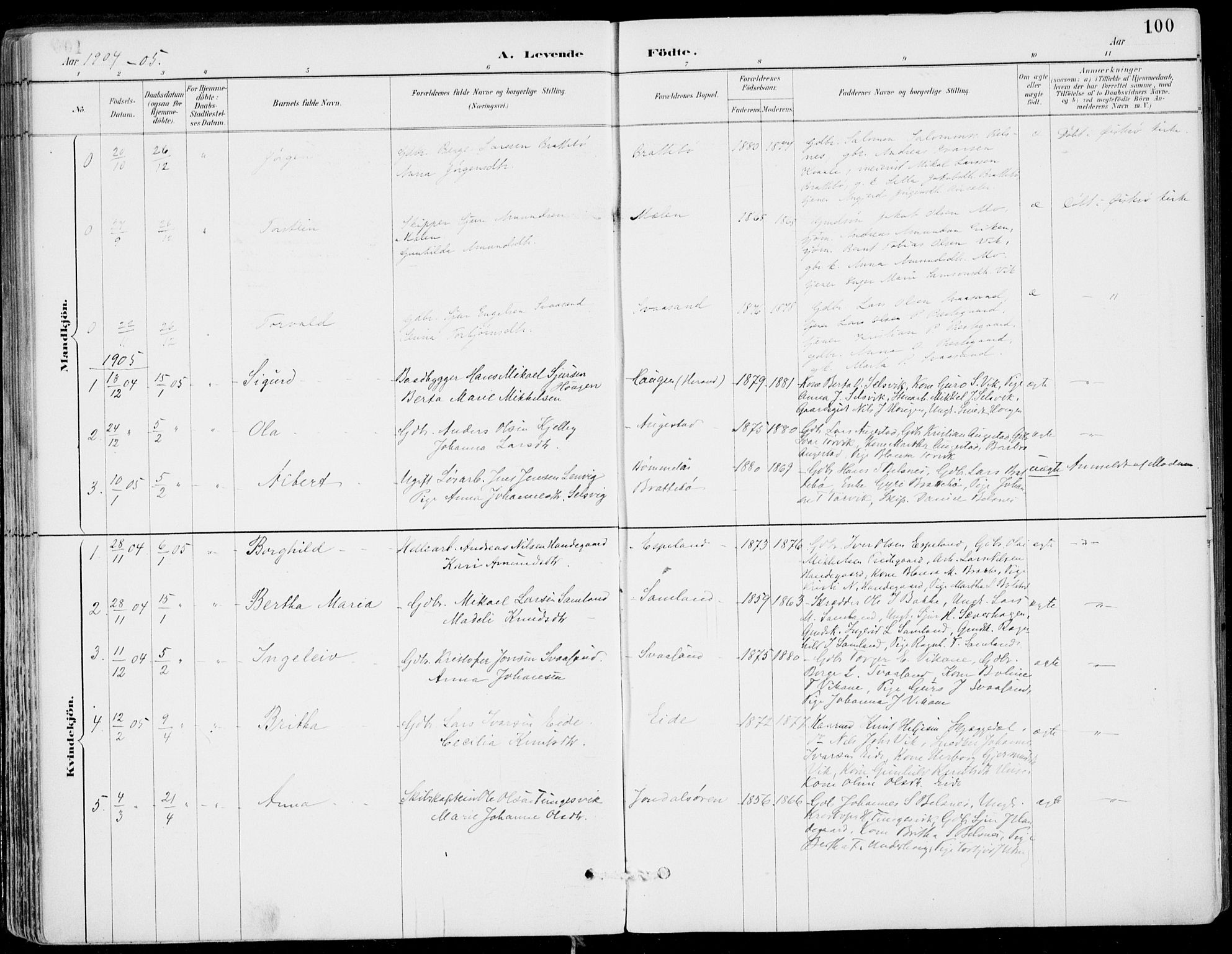 Strandebarm sokneprestembete, AV/SAB-A-78401/H/Haa: Parish register (official) no. E  1, 1886-1908, p. 100