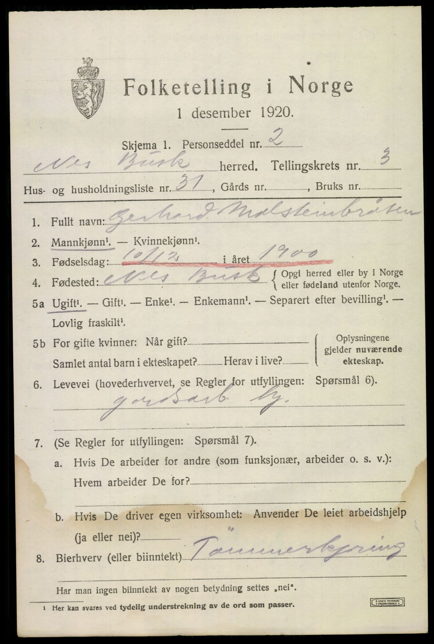 SAKO, 1920 census for Nes (Buskerud), 1920, p. 1920