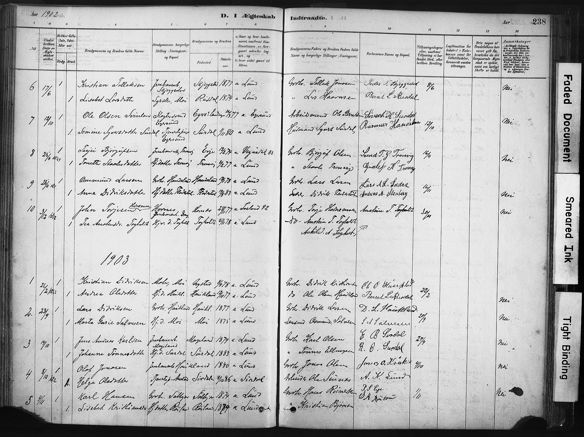 Lund sokneprestkontor, AV/SAST-A-101809/S06/L0011: Parish register (official) no. A 10, 1877-1904, p. 238