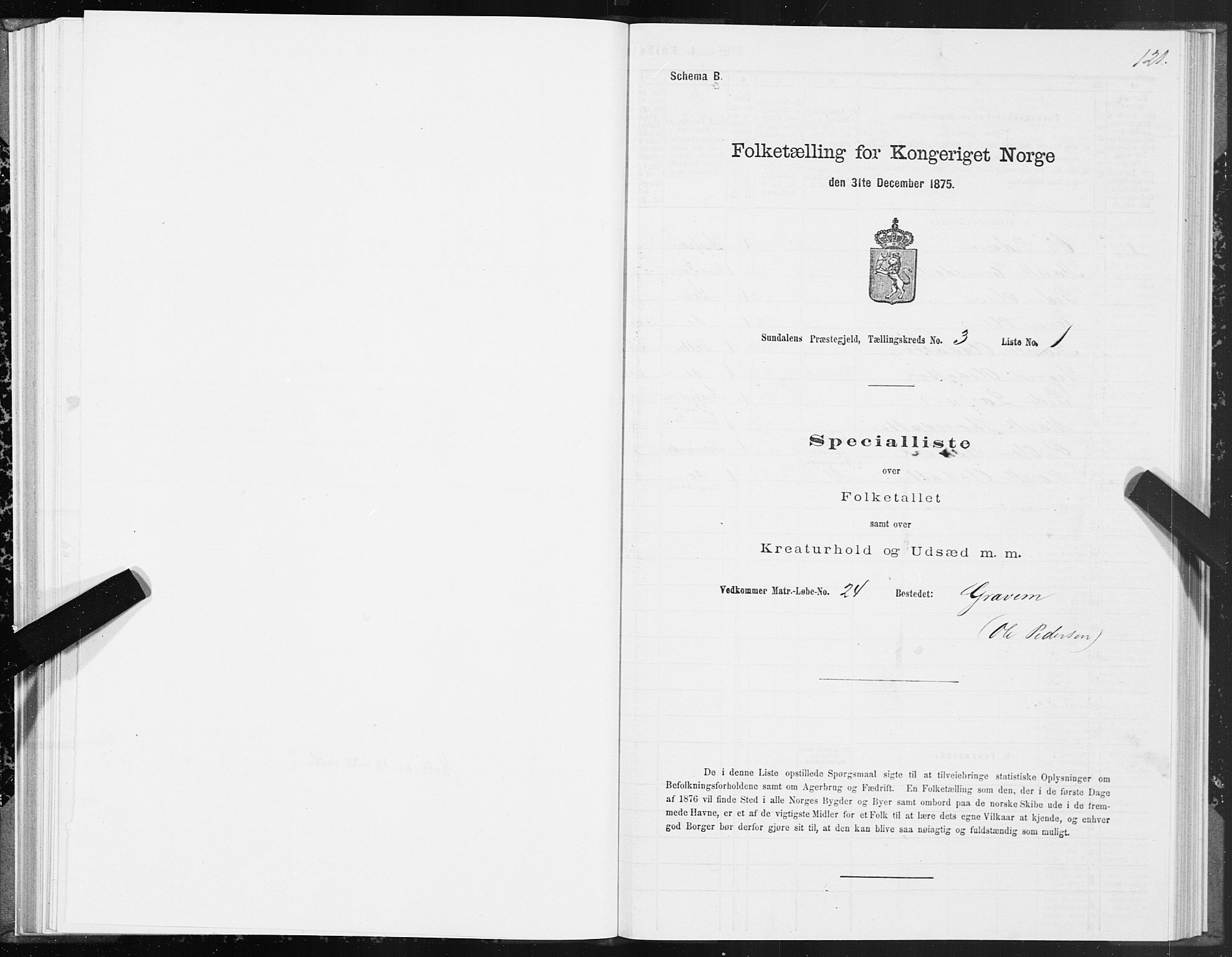 SAT, 1875 census for 1563P Sunndal, 1875, p. 1121