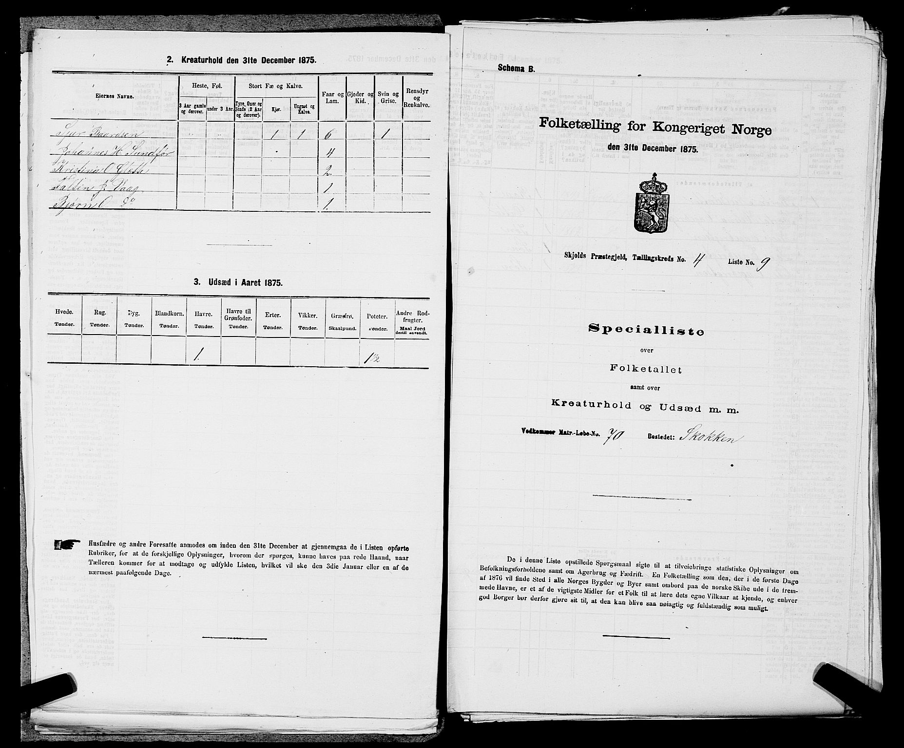 SAST, 1875 census for 1154P Skjold, 1875, p. 297
