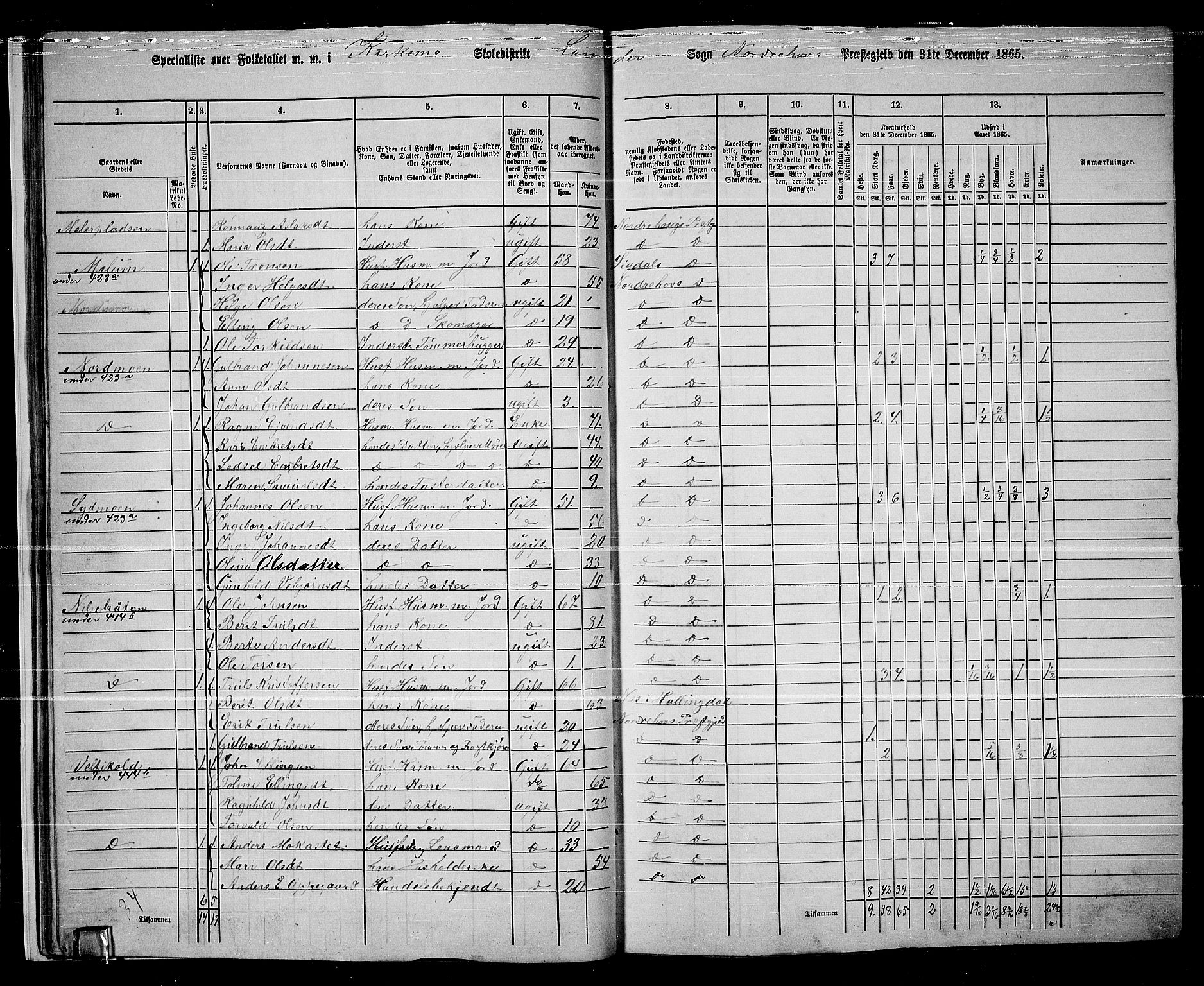 RA, 1865 census for Norderhov/Norderhov, Haug og Lunder, 1865, p. 30