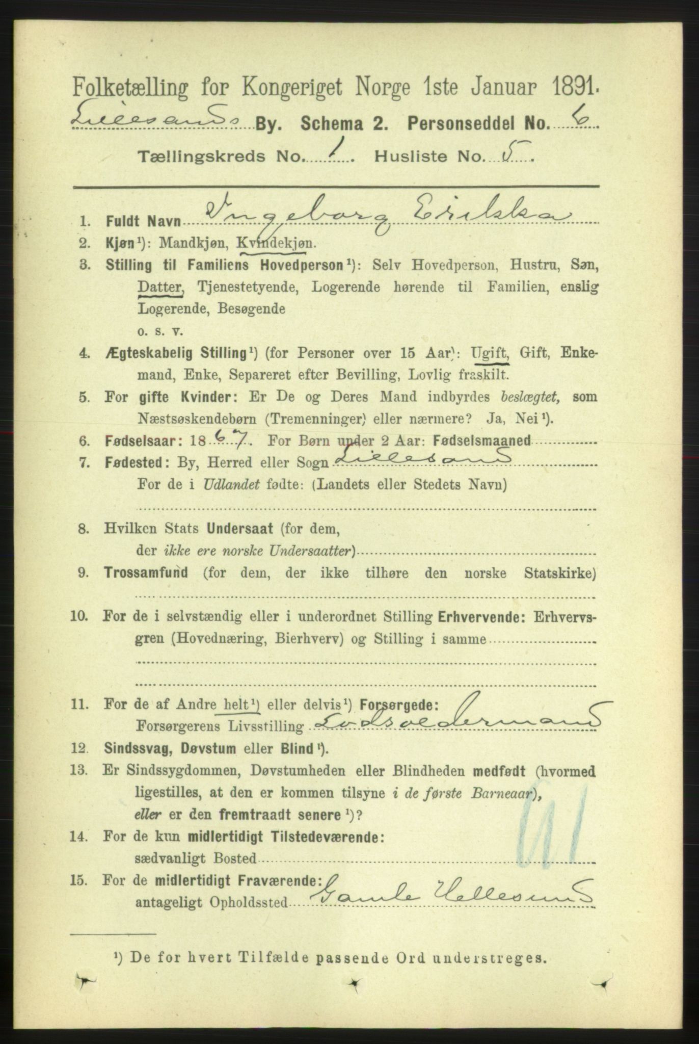 RA, 1891 census for 0905 Lillesand, 1891, p. 47