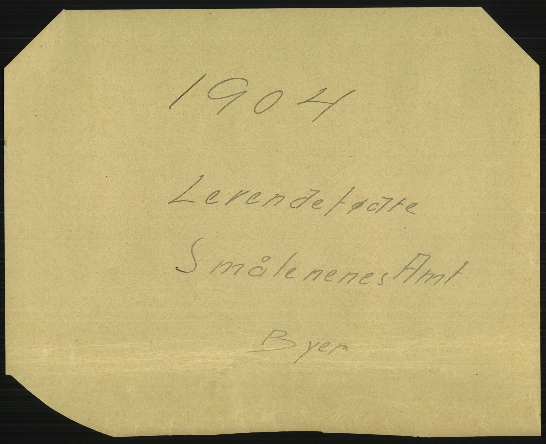 Statistisk sentralbyrå, Sosiodemografiske emner, Befolkning, RA/S-2228/D/Df/Dfa/Dfab/L0001: Smålenenes amt: Fødte, gifte, døde, 1904, p. 1