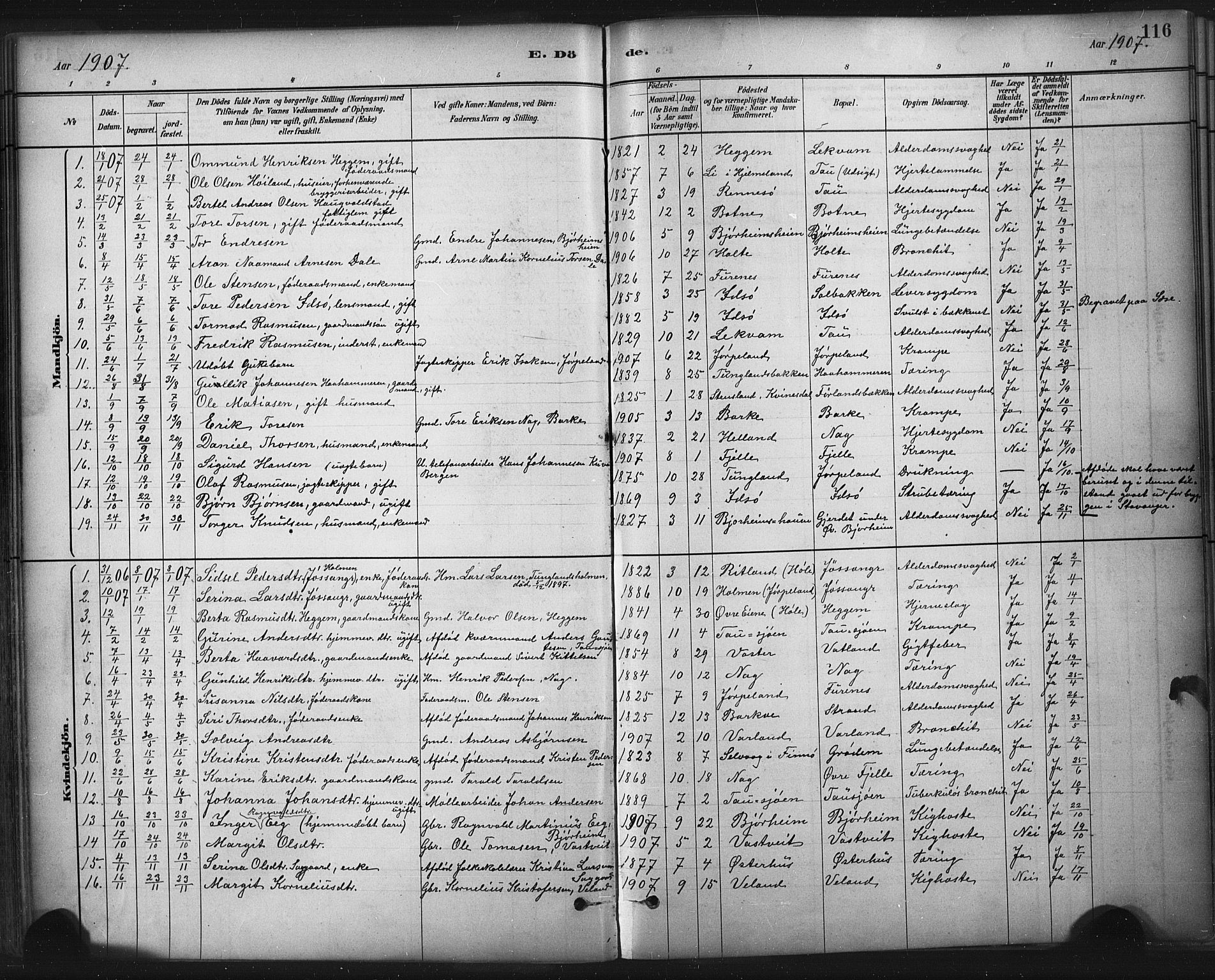 Strand sokneprestkontor, SAST/A-101828/H/Ha/Haa/L0010: Parish register (official) no. A 10, 1882-1929, p. 116