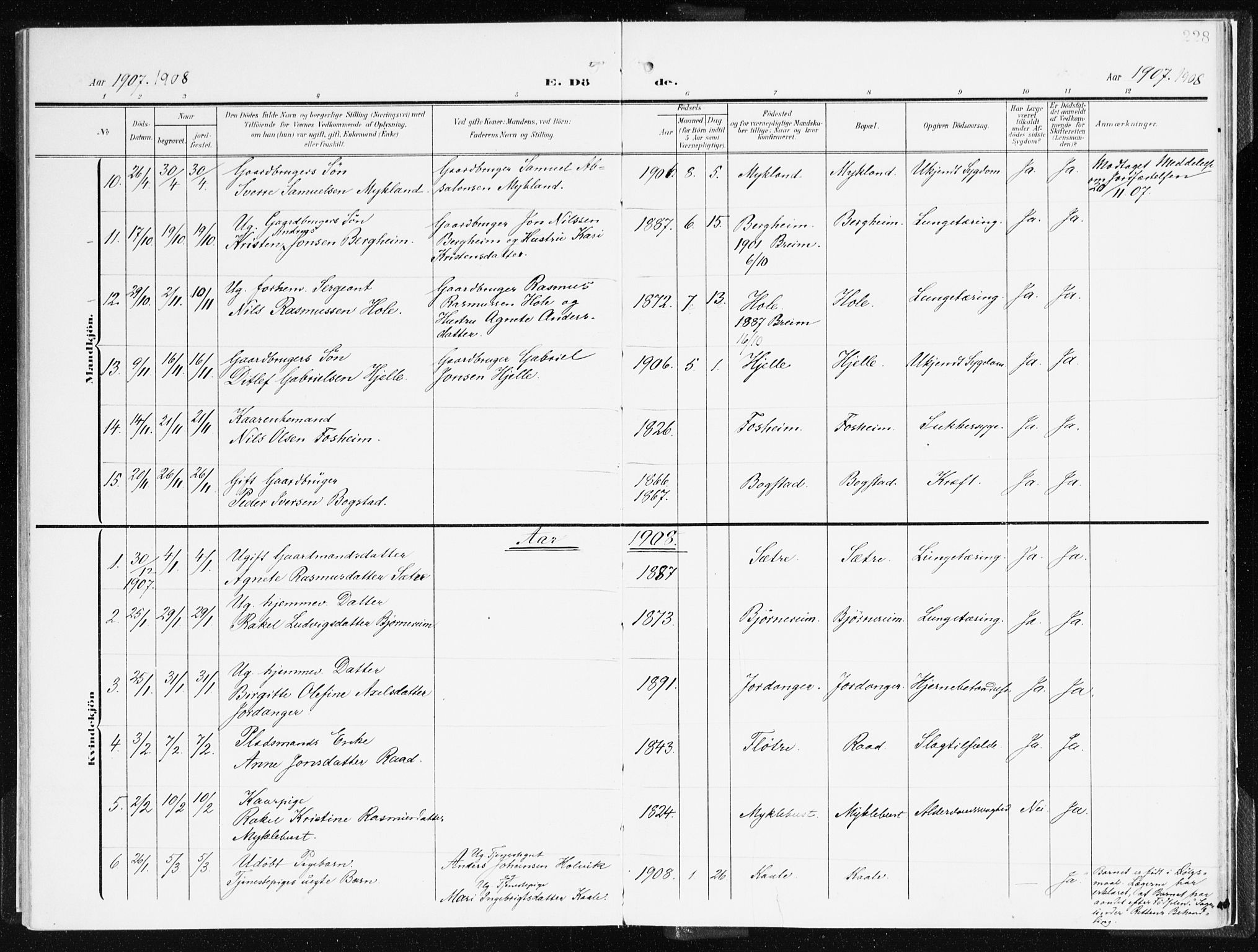 Gloppen sokneprestembete, AV/SAB-A-80101/H/Haa/Haac/L0003: Parish register (official) no. C 3, 1904-1921, p. 228