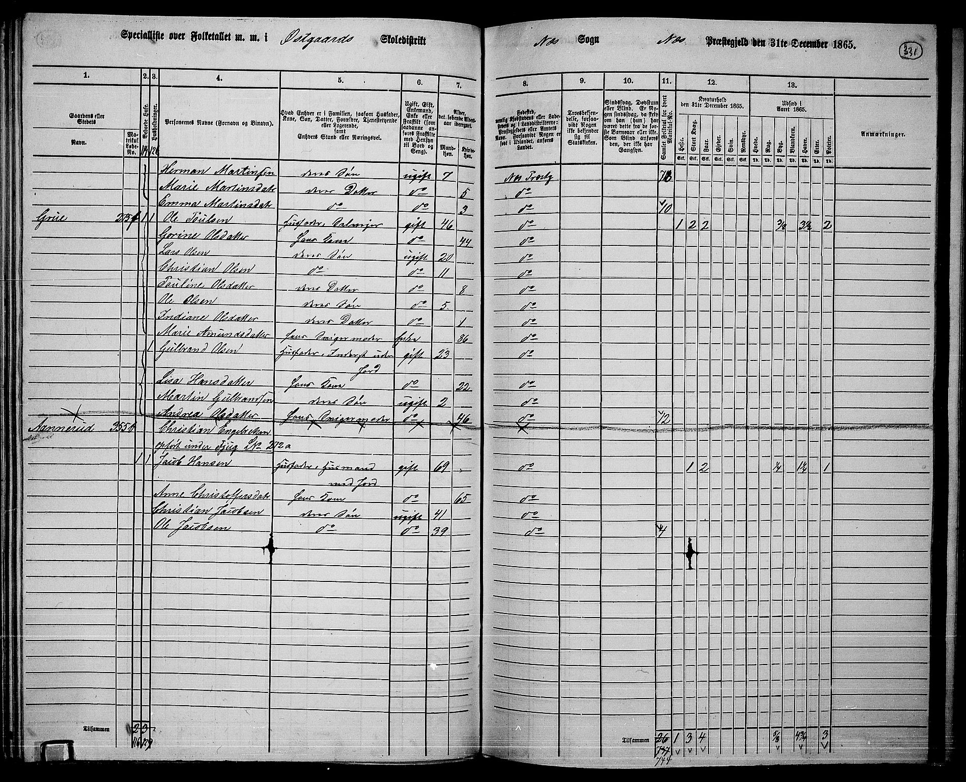 RA, 1865 census for Nes, 1865, p. 306