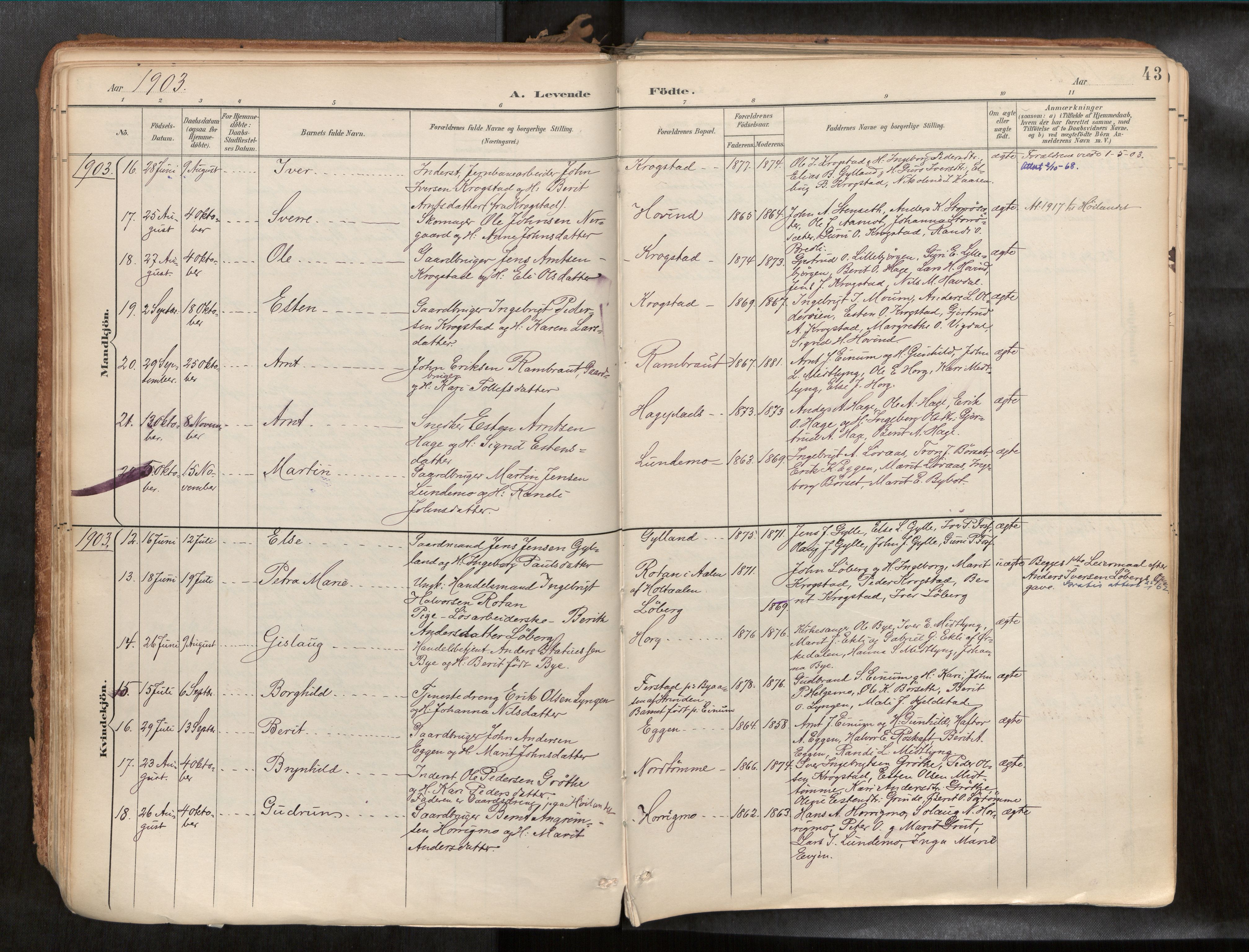 Ministerialprotokoller, klokkerbøker og fødselsregistre - Sør-Trøndelag, AV/SAT-A-1456/692/L1105b: Parish register (official) no. 692A06, 1891-1934, p. 43