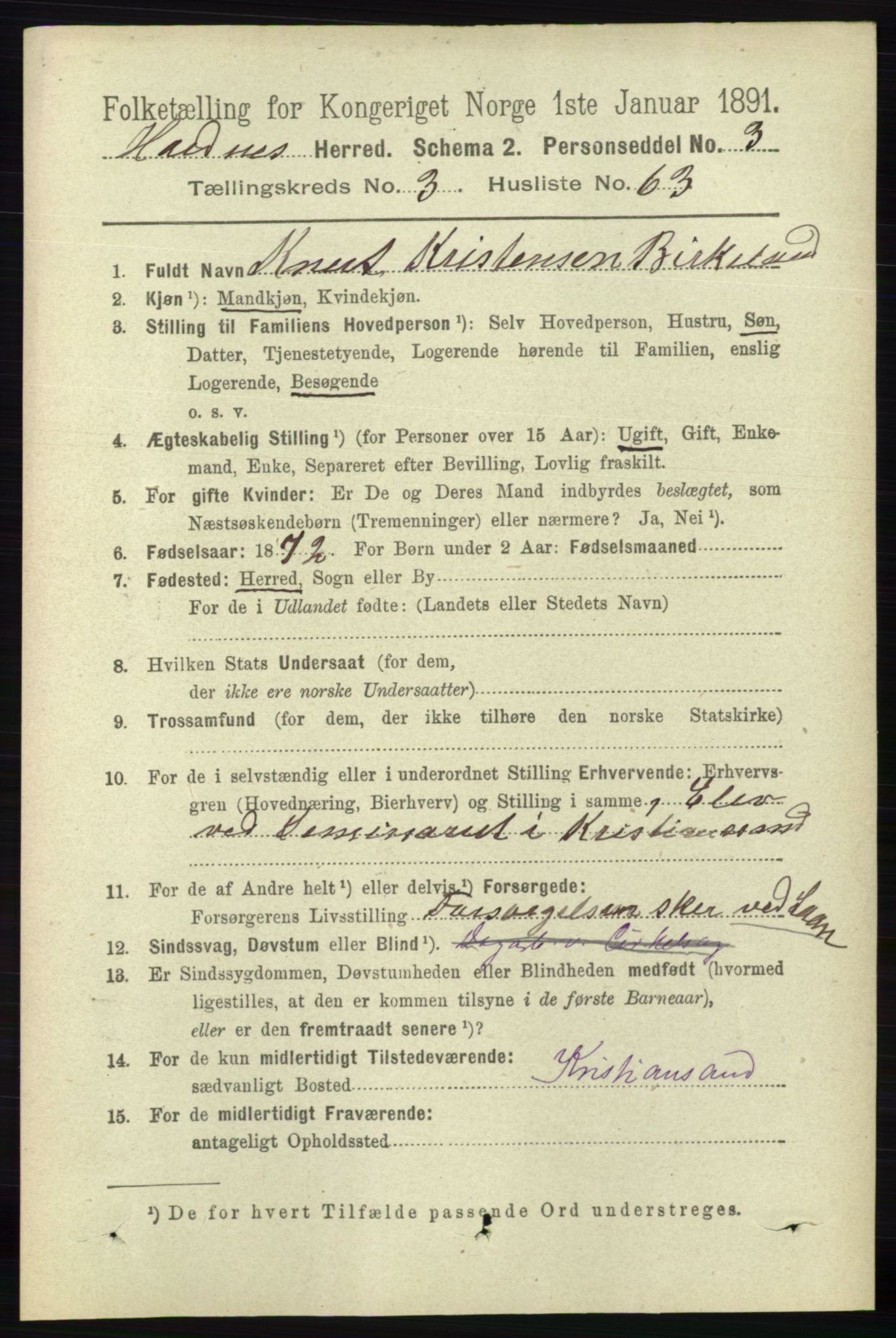 RA, 1891 census for 0936 Hornnes, 1891, p. 1004