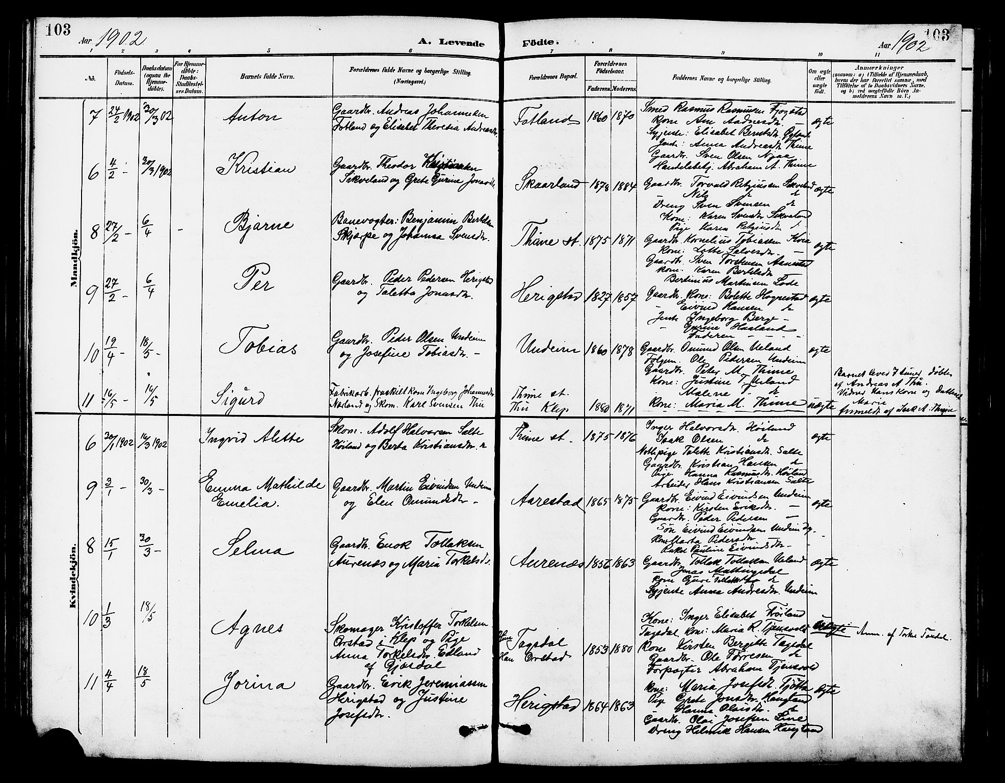 Lye sokneprestkontor, SAST/A-101794/001/30BB/L0007: Parish register (copy) no. B 8, 1889-1909, p. 103