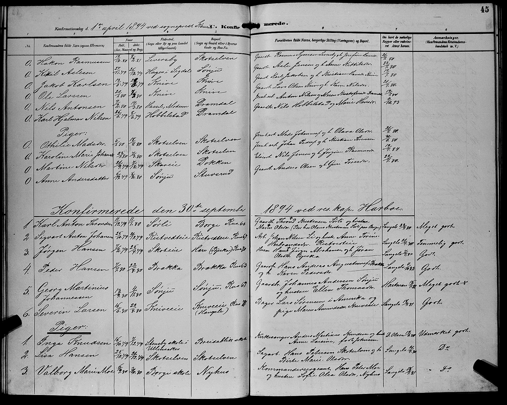 Eiker kirkebøker, AV/SAKO-A-4/G/Gb/L0004: Parish register (copy) no. II 4, 1894-1900, p. 45