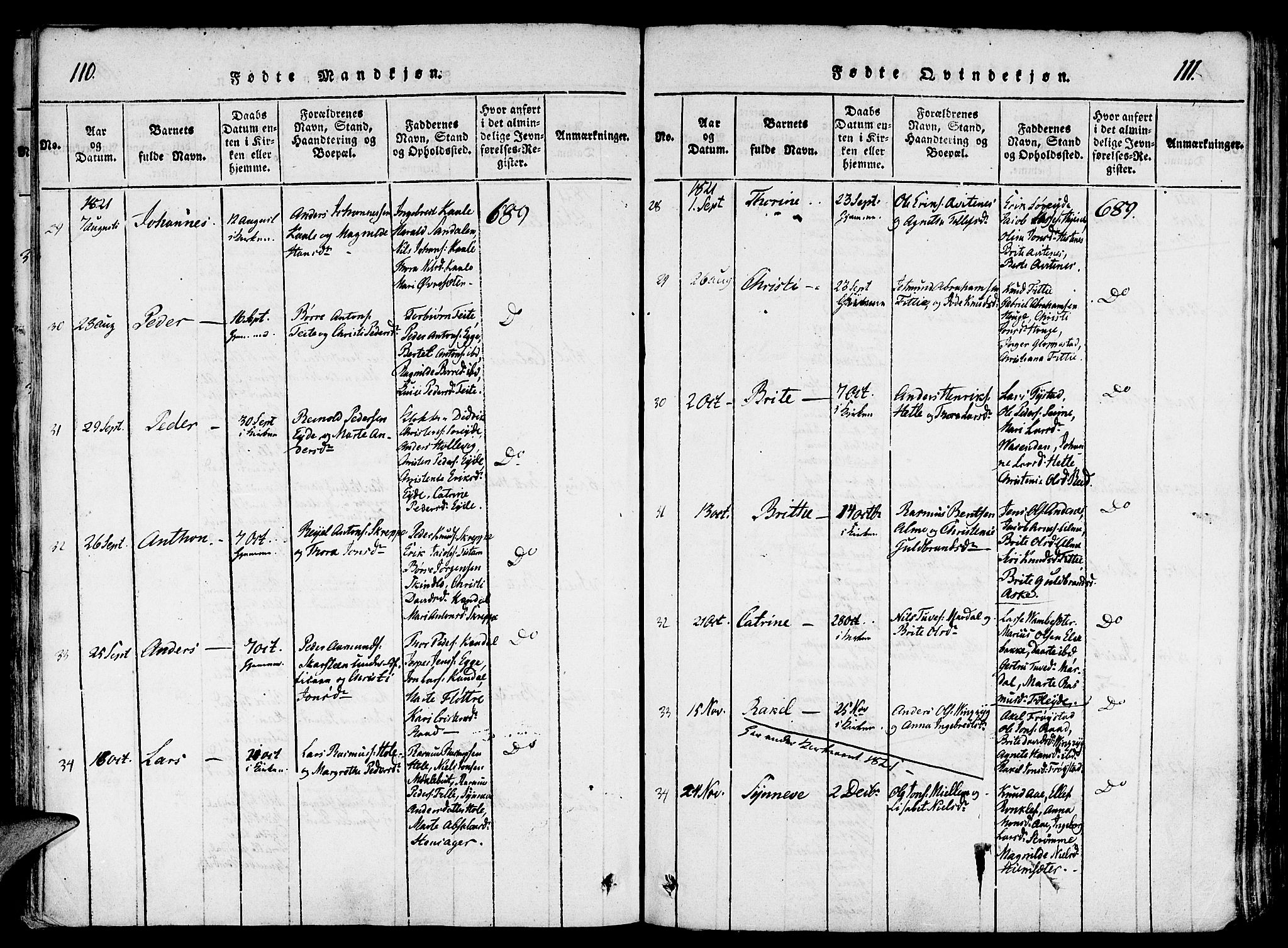 Gloppen sokneprestembete, AV/SAB-A-80101/H/Haa/Haaa/L0006: Parish register (official) no. A 6, 1816-1826, p. 110-111