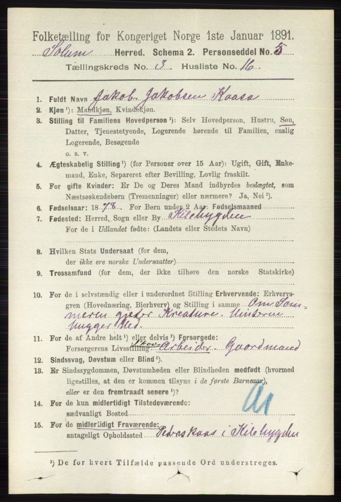 RA, 1891 census for 0818 Solum, 1891, p. 435