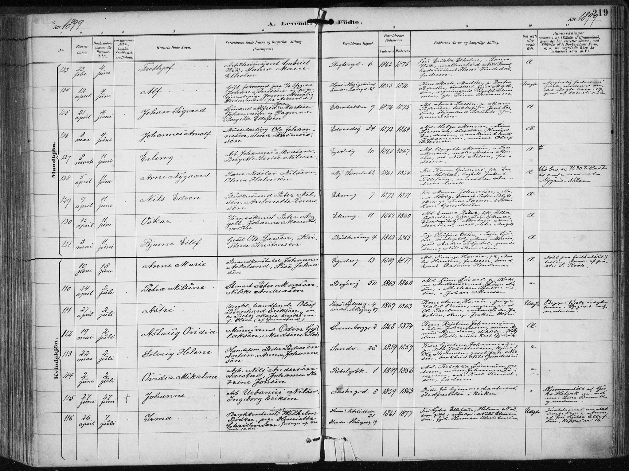 Sandviken Sokneprestembete, SAB/A-77601/H/Ha/L0005: Parish register (official) no. B 2, 1891-1901, p. 219